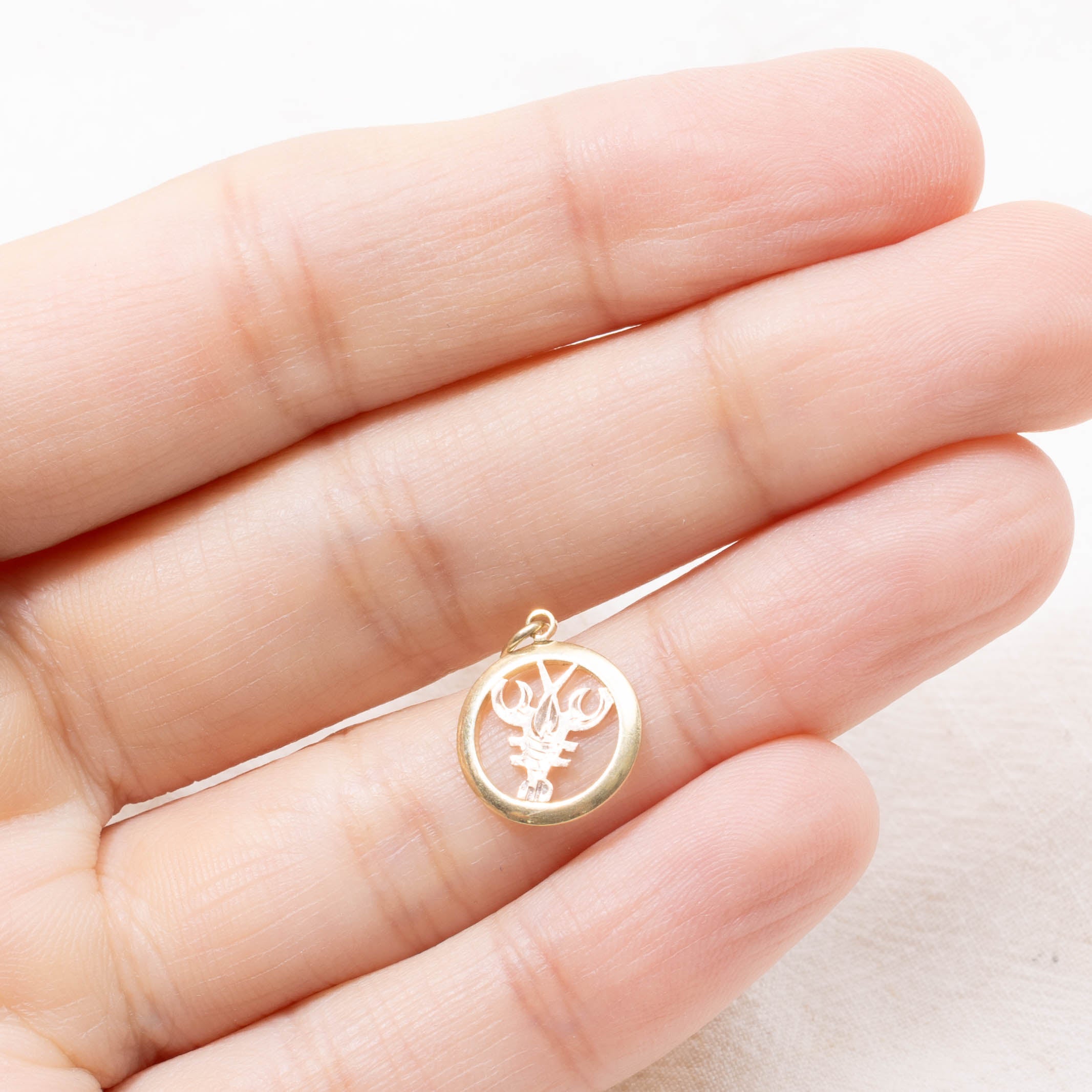 14k Scorpio Zodiac Charm