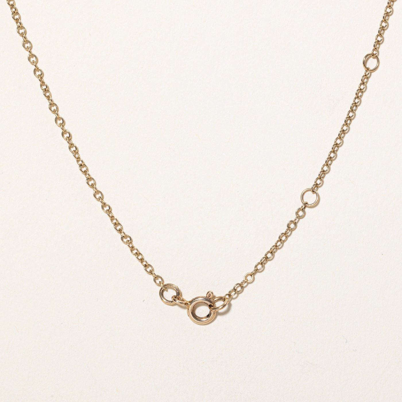 Victorian Ruby, Garnet & Diamond Horseshoe Pendant Necklace | 1.00ctw, 0.47ctw | 20.5"