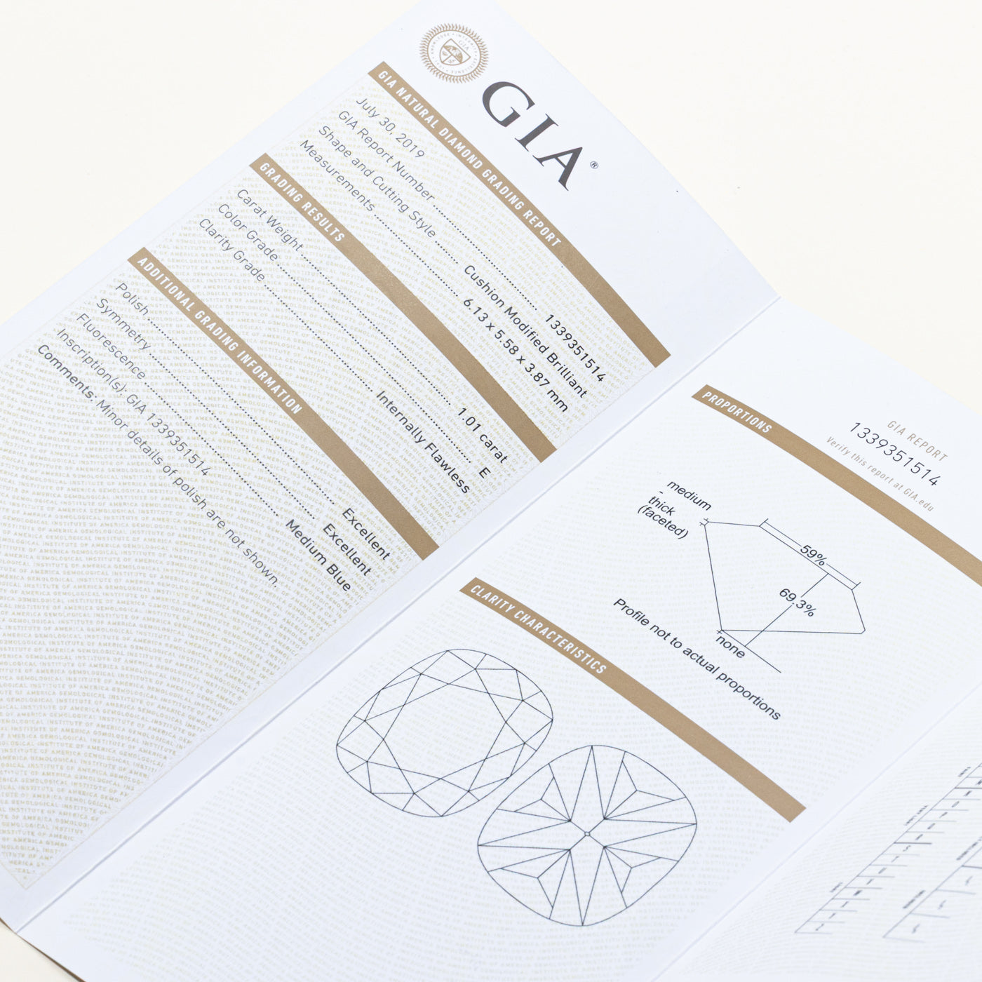 GIA Cushion Cut Diamond Engagement Ring | 1.01ct E IF, 0.18ctw | SZ 6.25