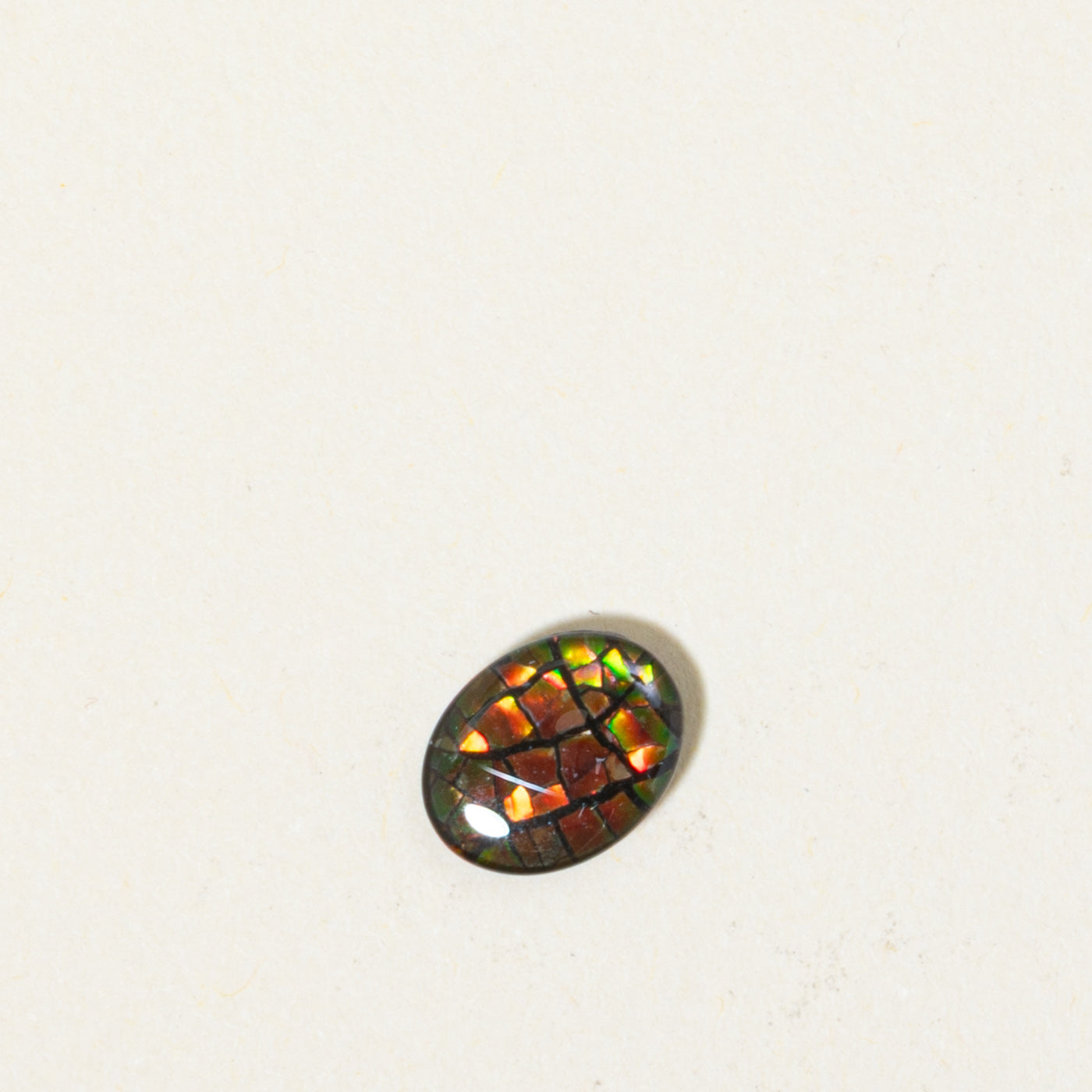 Loose Cabochon Cut Ammolite | 1.56ct