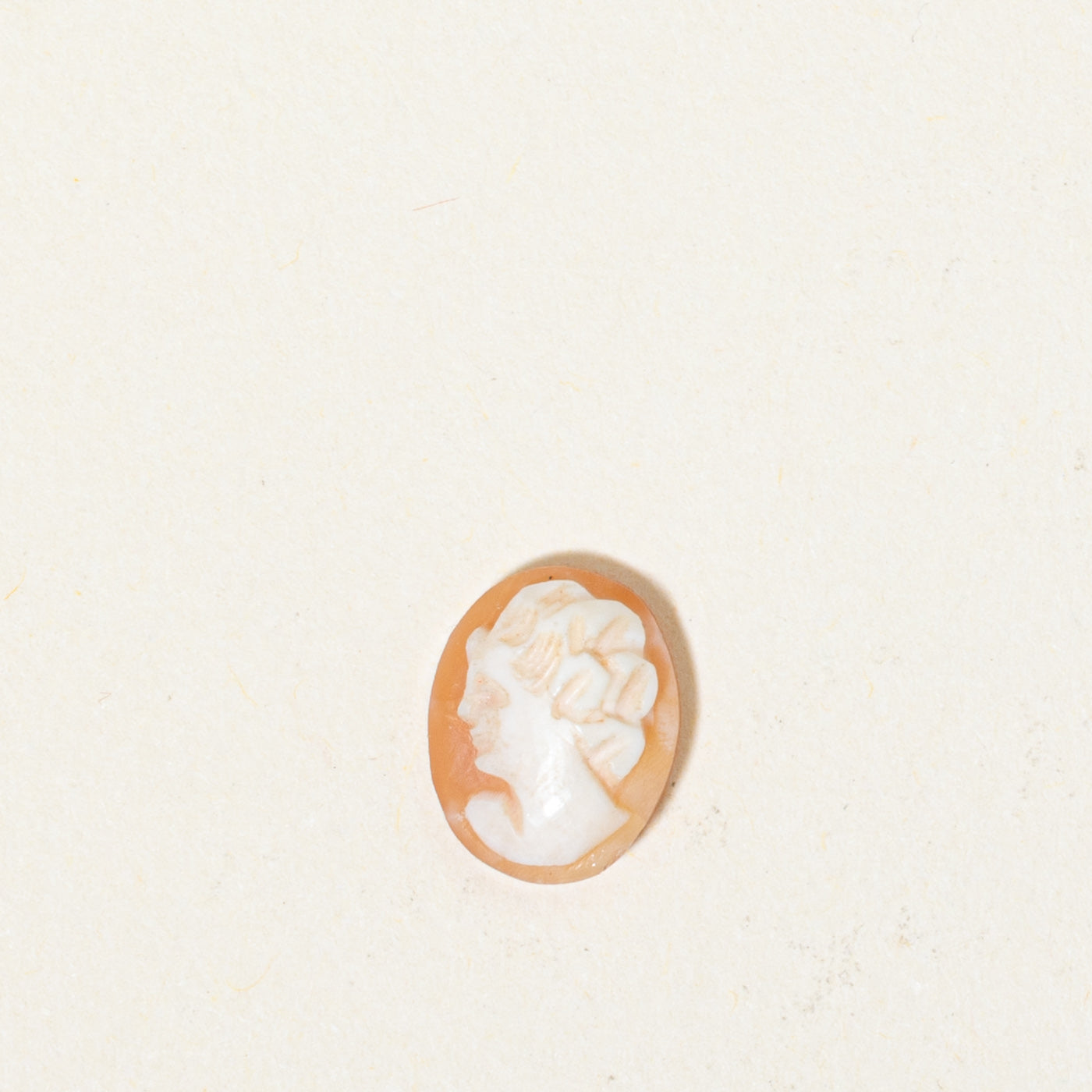 Loose Shell Cameo | 2.39ct
