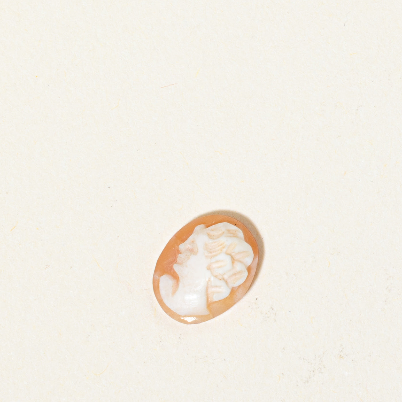 Loose Shell Cameo | 2.39ct