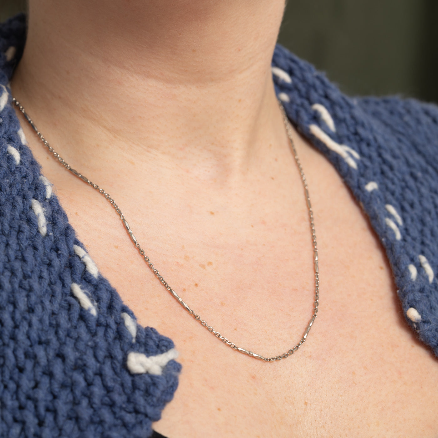 Platinum Dog Clip Watch Chain | 20"