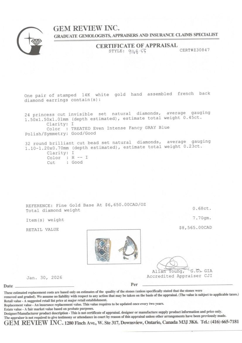 14k Princess Cut Gray Blue & White Diamond Earrings | 0.68ctw