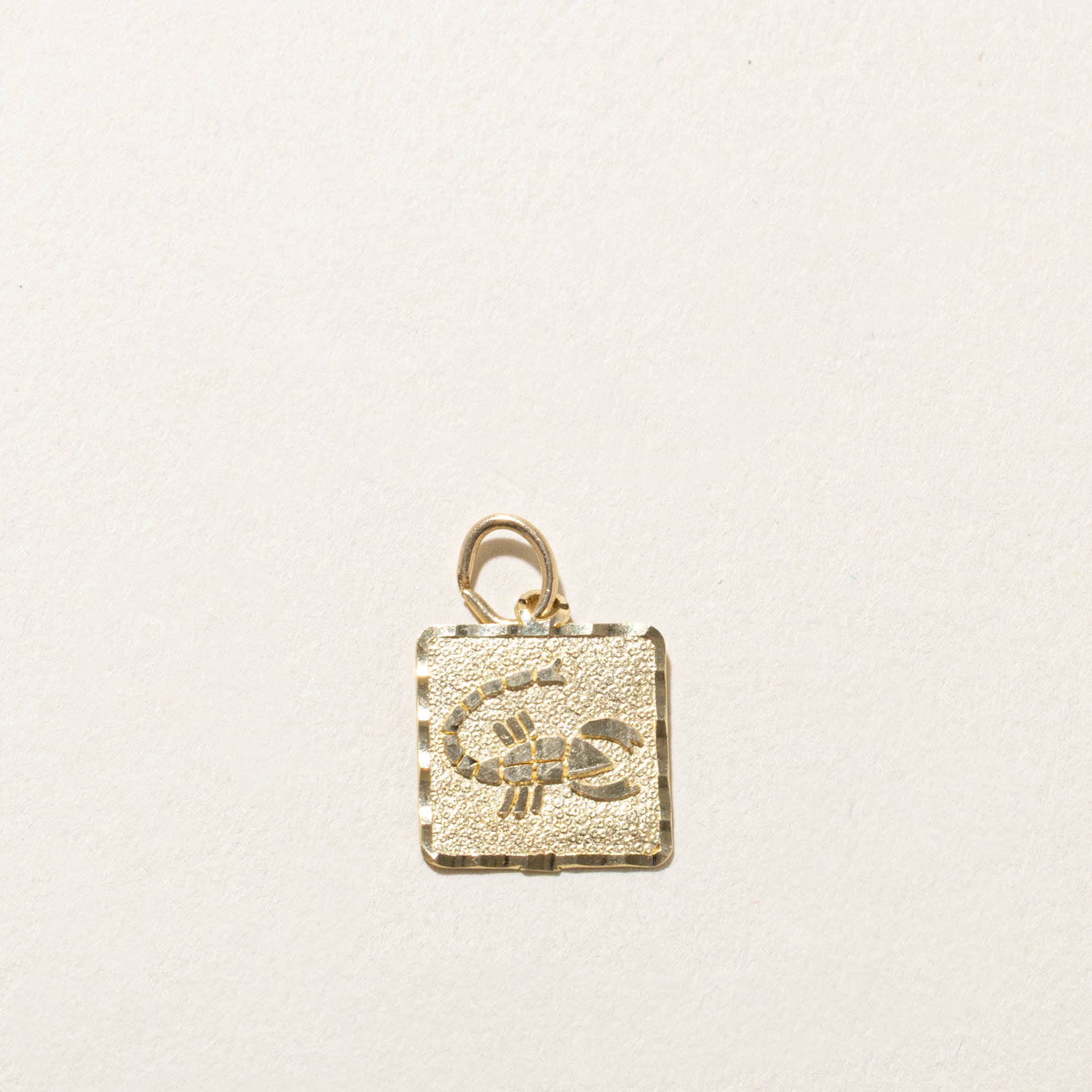 10k Scorpio Zodiac Charm