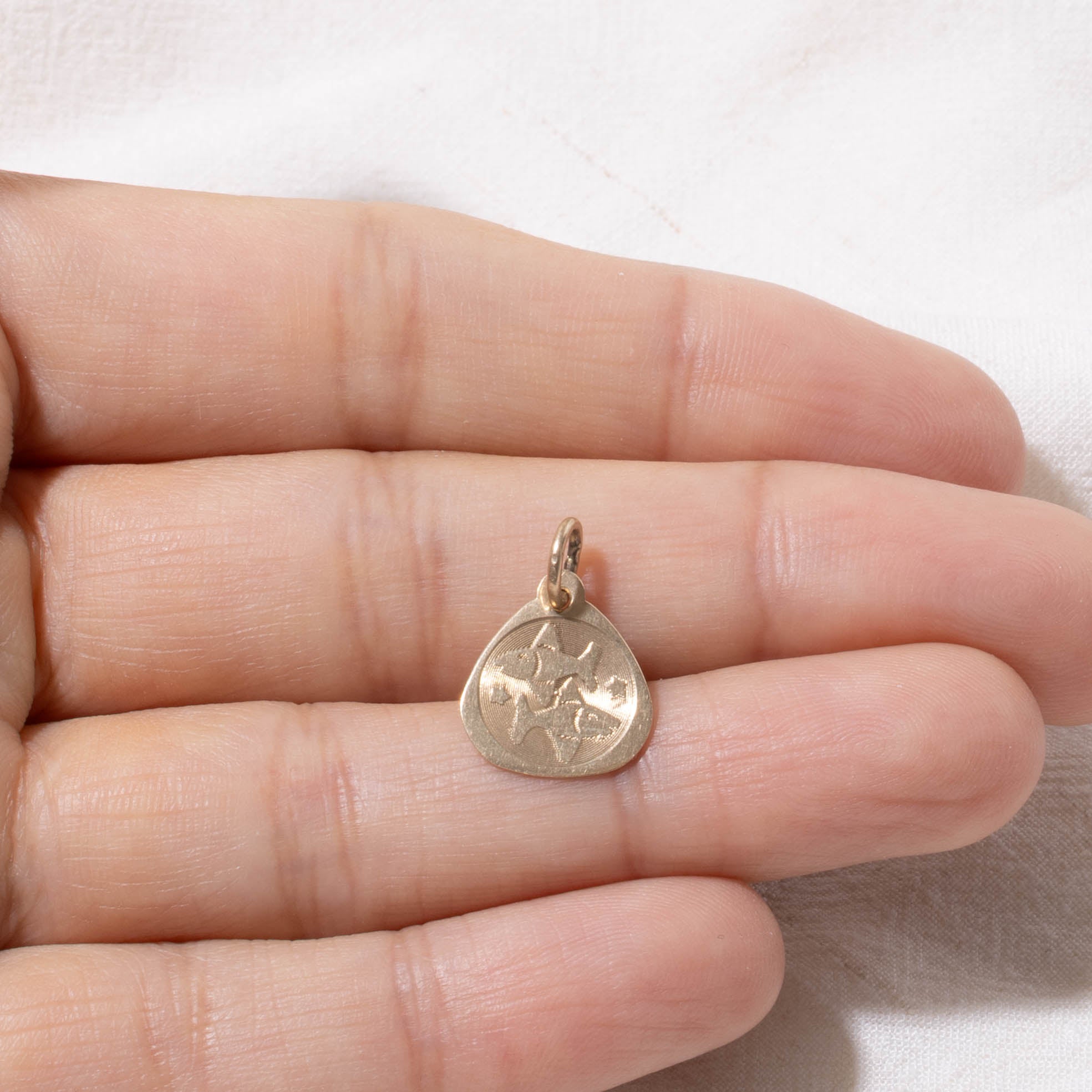 10k Pisces Zodiac Charm