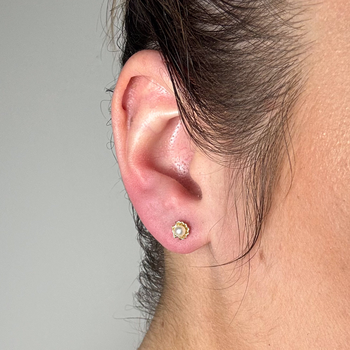 100 Ways' Freshwater Pearl in Shell Stud Earrings