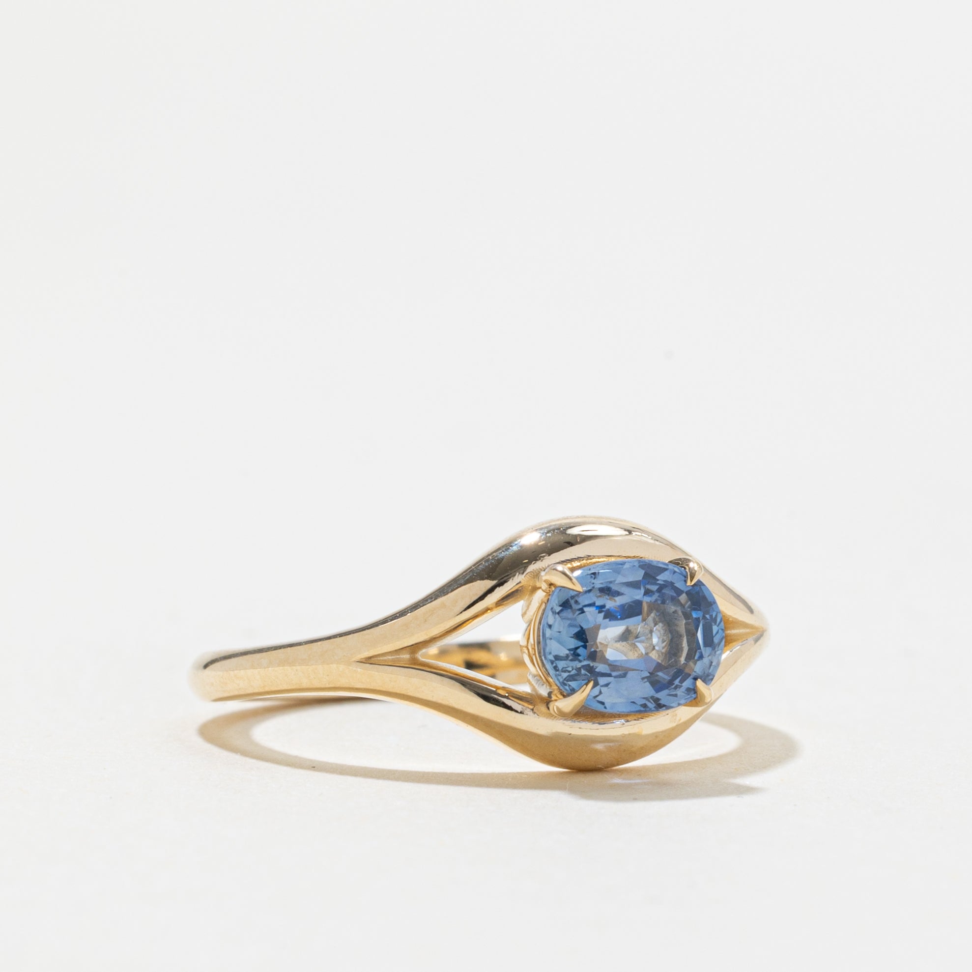 '100 Ways' 10k Eagle Claw Sapphire Ring | 1.23ct | SZ6.5
