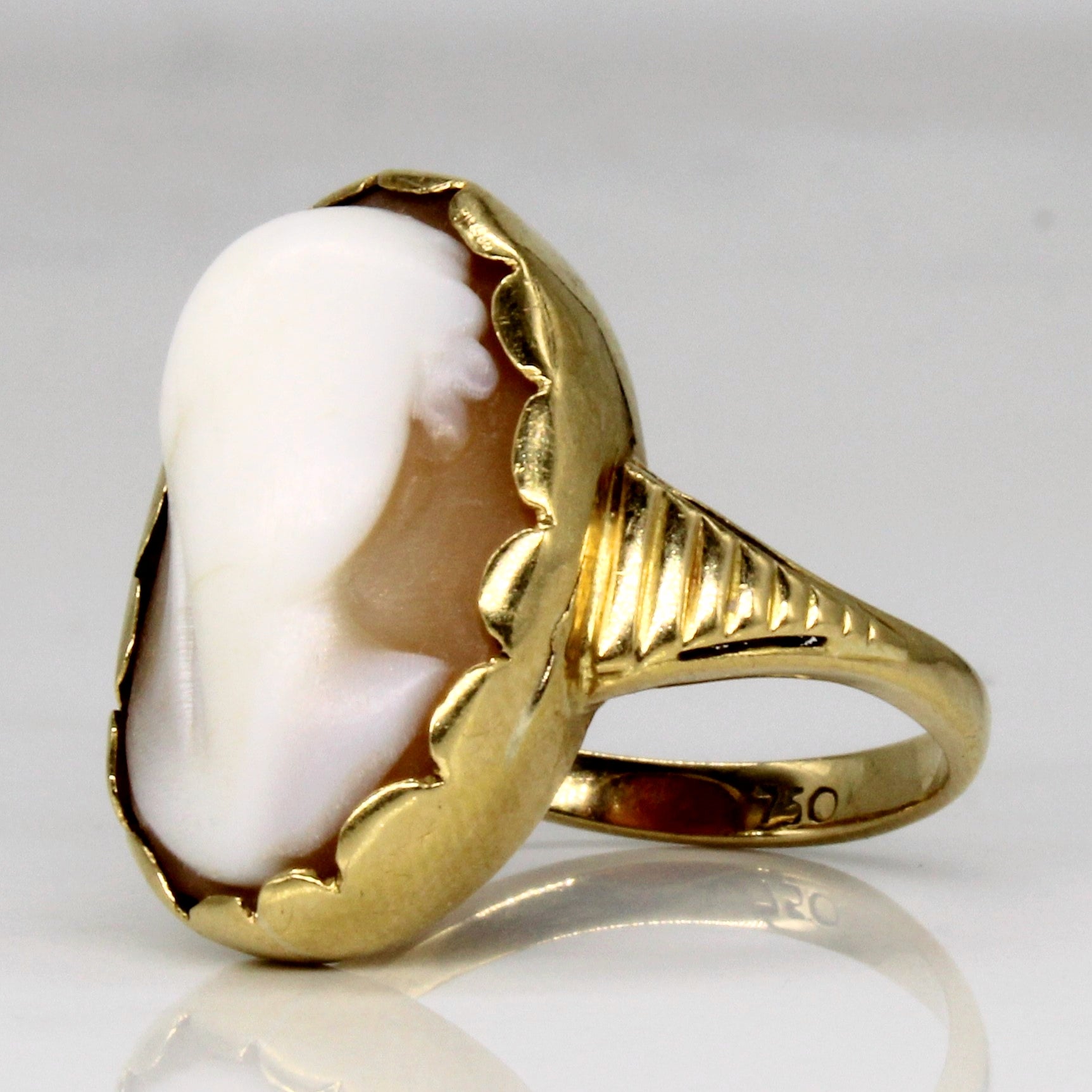 Seashell Cameo Ring | 6.50ct | SZ 7 |