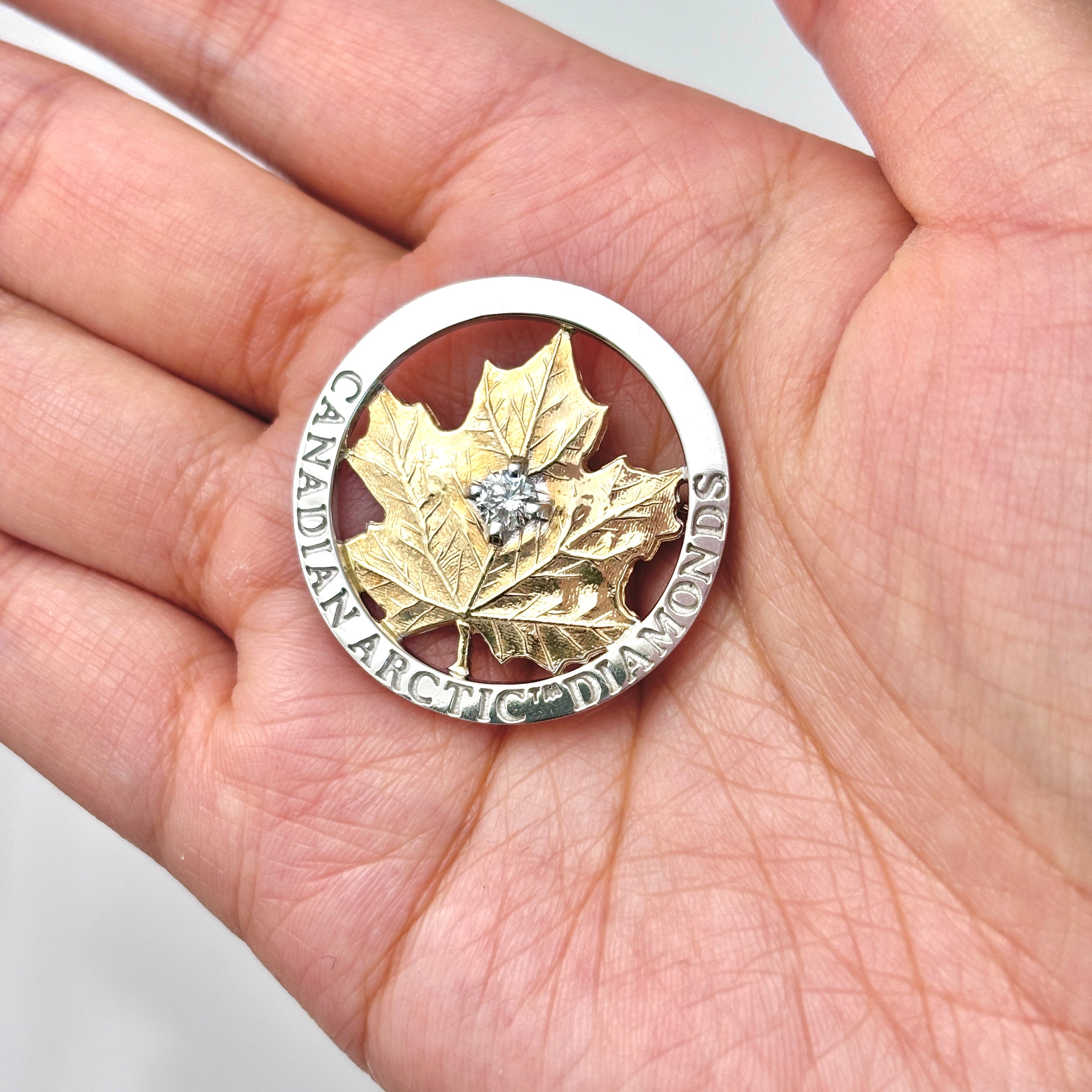 Canadian Arctic Diamond and 14k Gold Brooch | 0.32ct | 1.5"