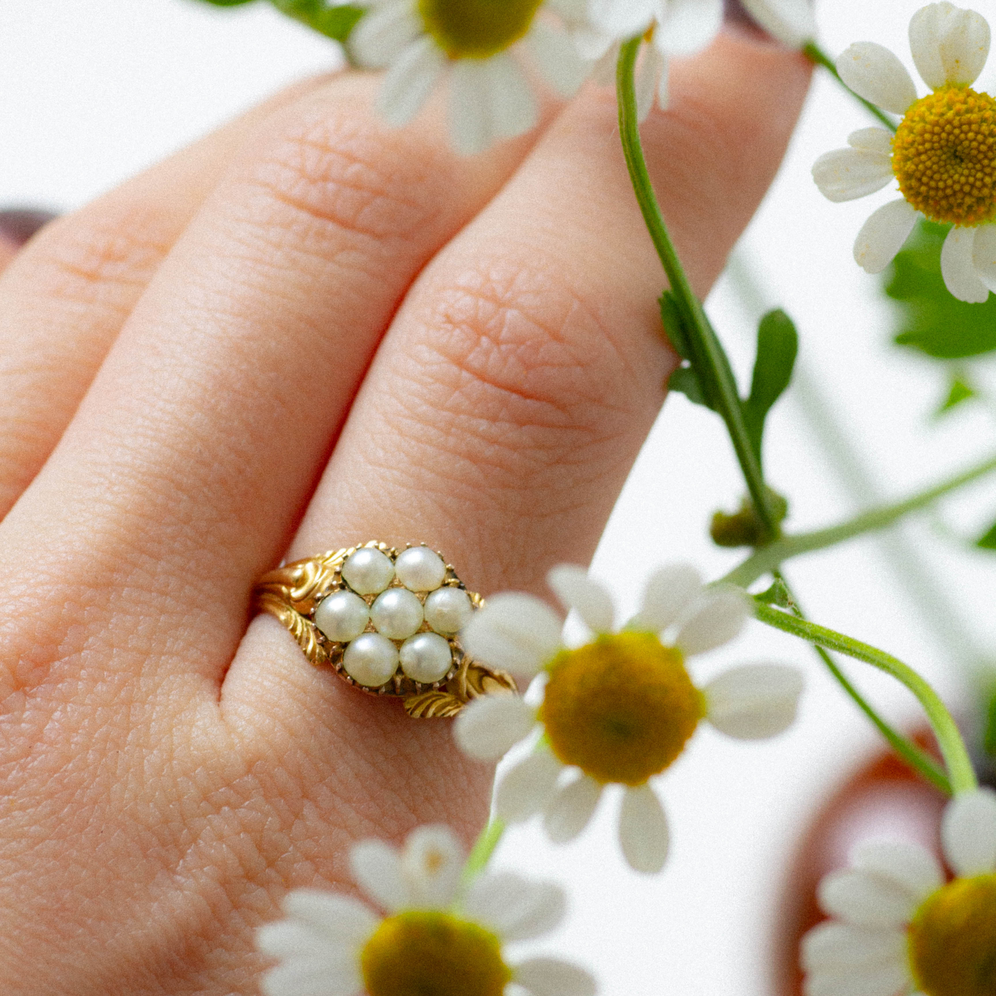 Antique Split Pearl Cluster Ring | SZ 7 |