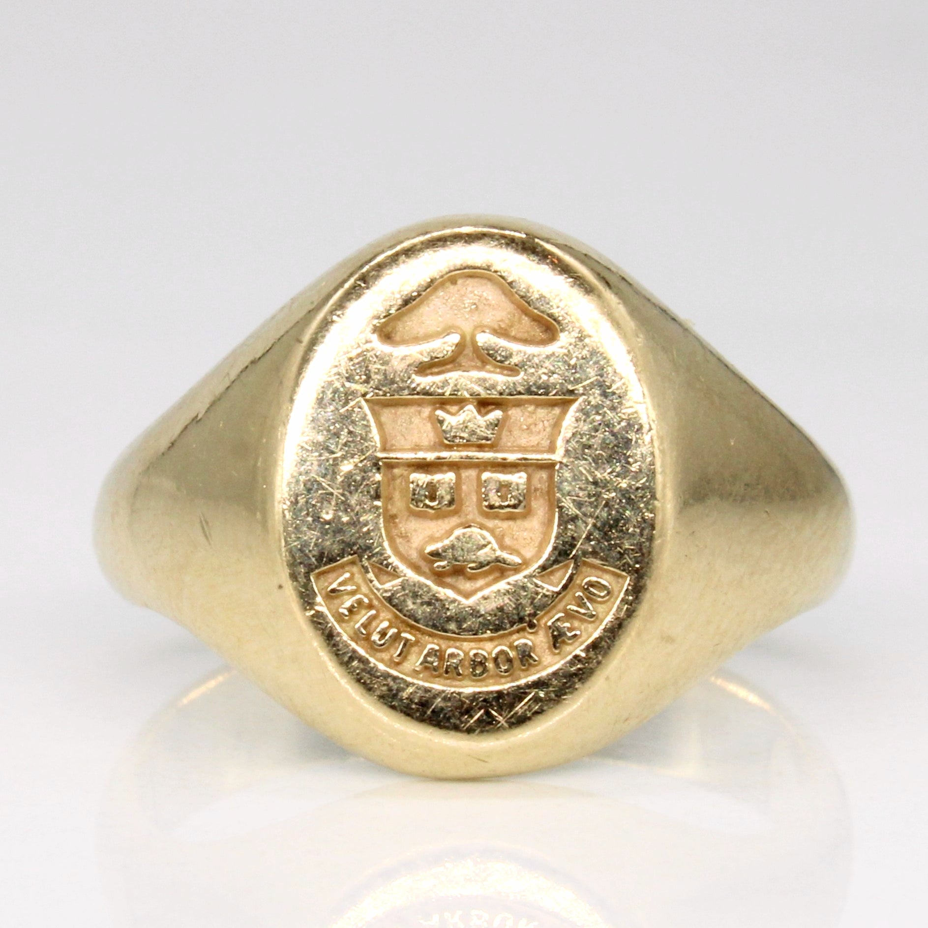 University of Toronto "velut arbor ævo" Yellow Gold Ring | SZ 6 |