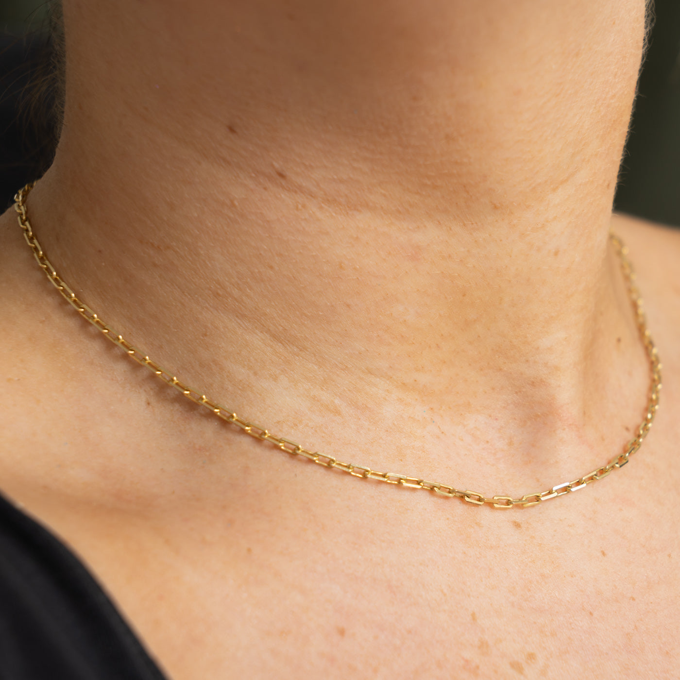 14k Yellow Gold Paperclip Chain | 2.40mm | 16"