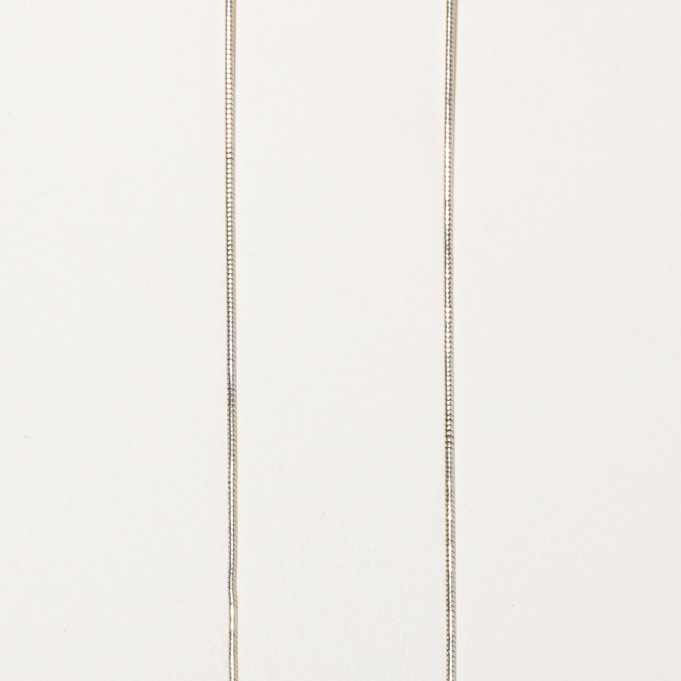 14k White Gold Snake Chain | 19"