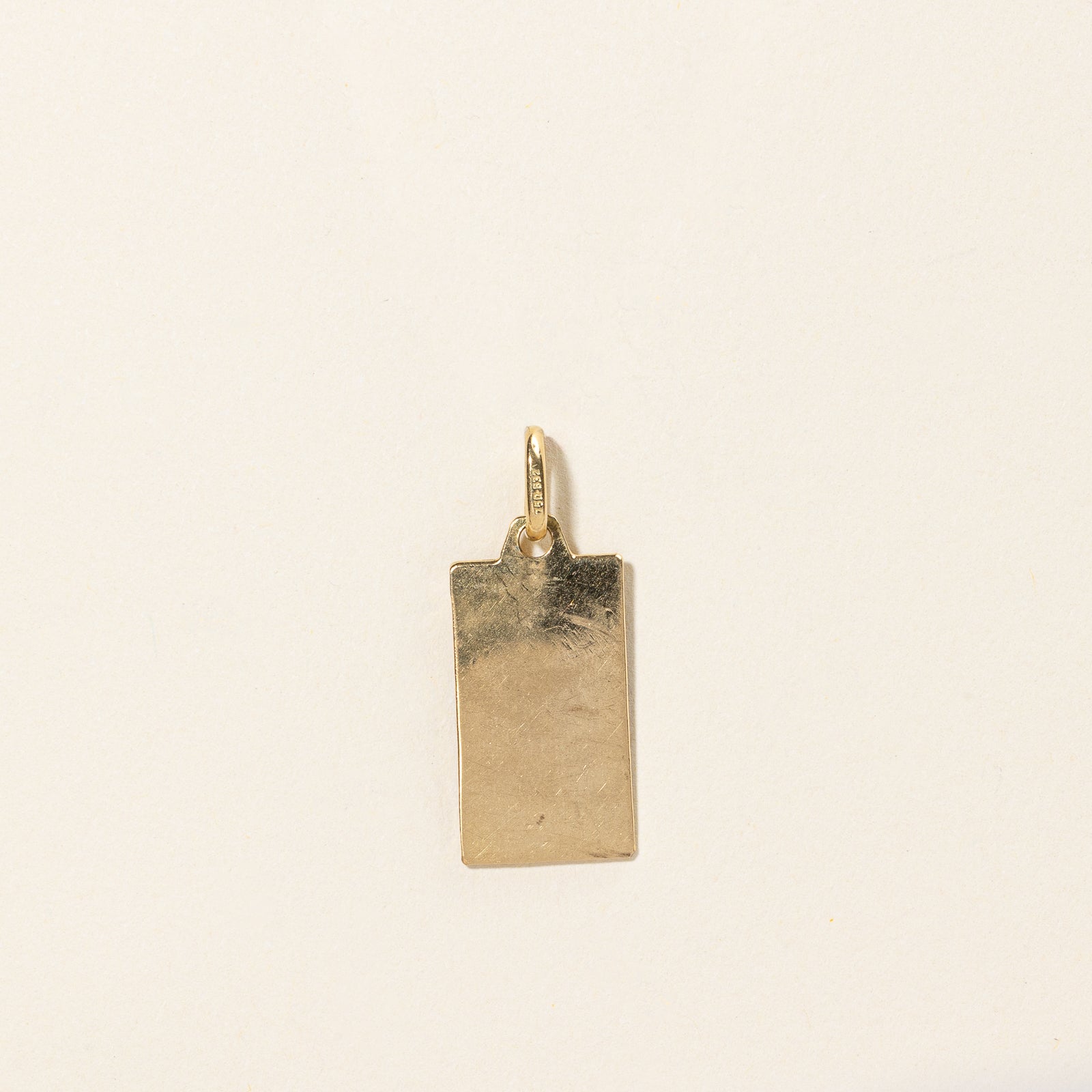 Enamel Star & Lion Pendant |
