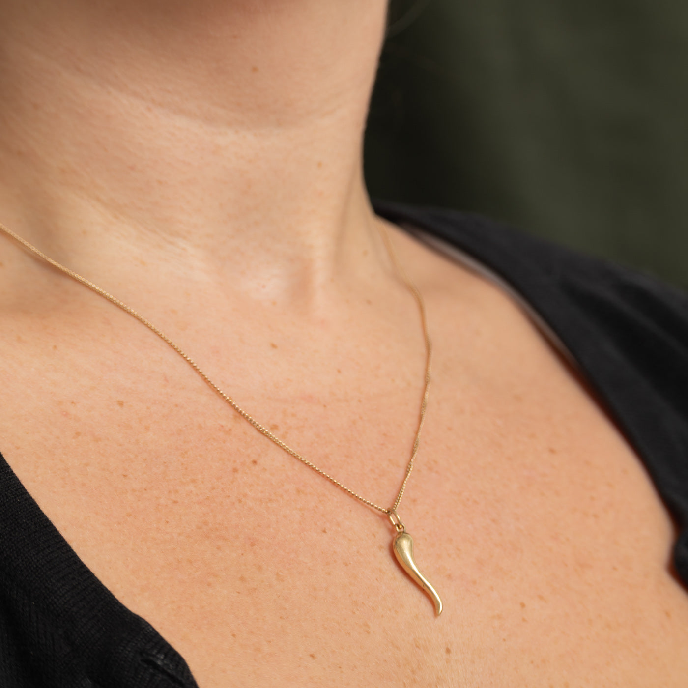 10k Yellow Gold Cornicello