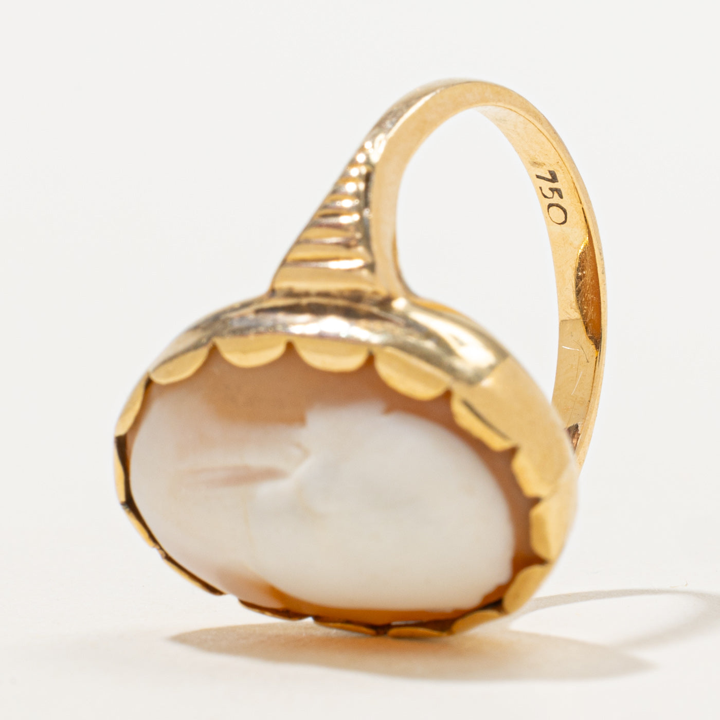 Bague camée coquillage | 6,50 ct | Taille 7 |