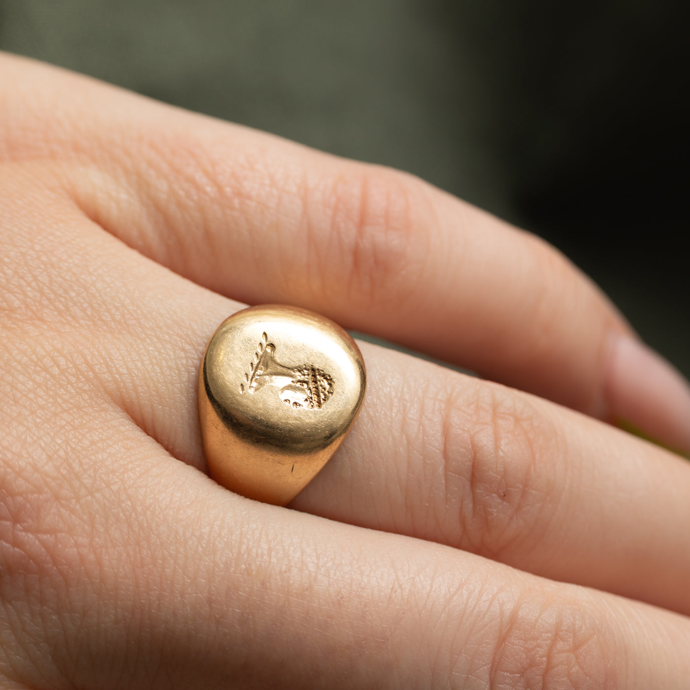 14k Yellow Gold Profile Intaglio Signet Ring | SZ 6.25