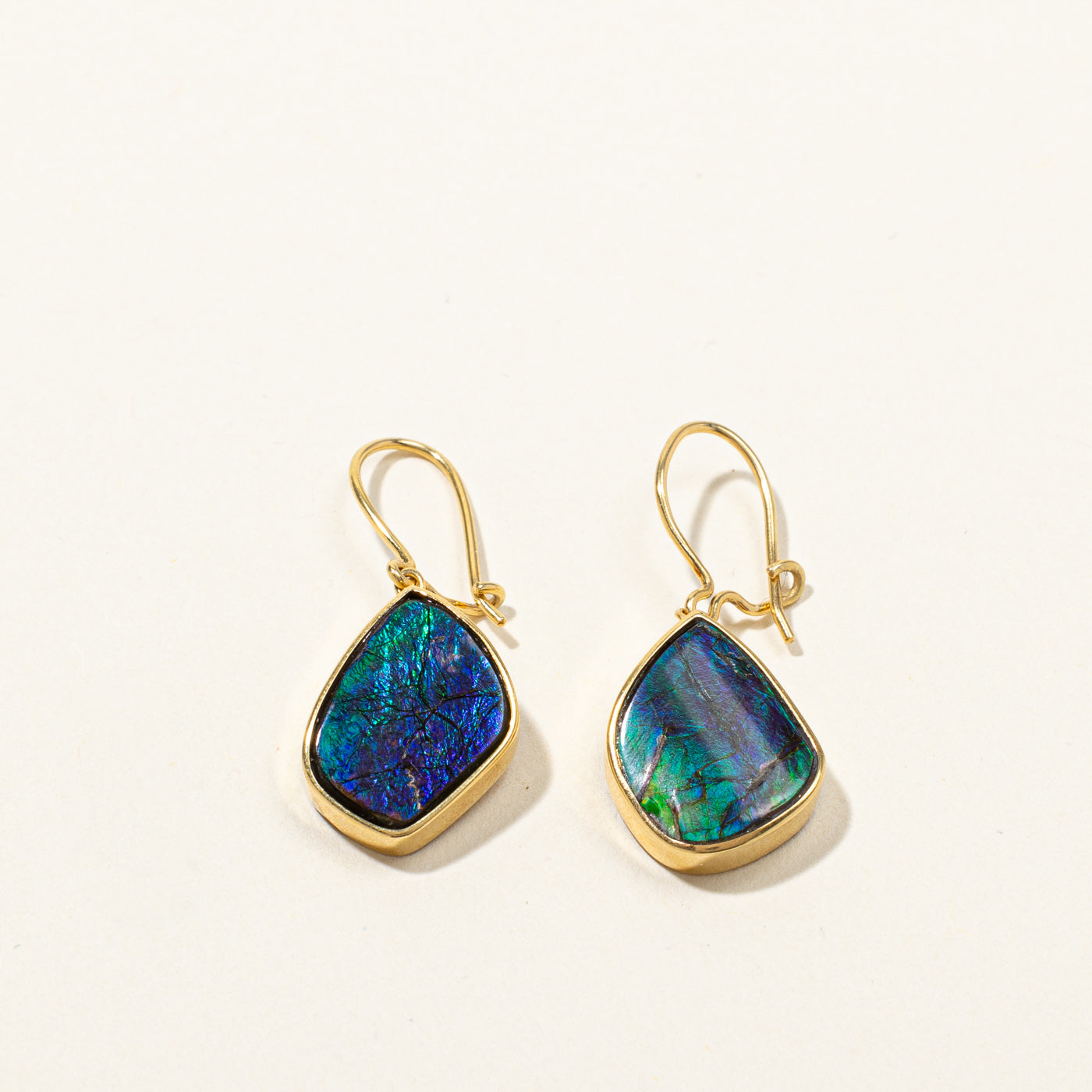 Ammolite Gold Earrings | 5.00ctw |