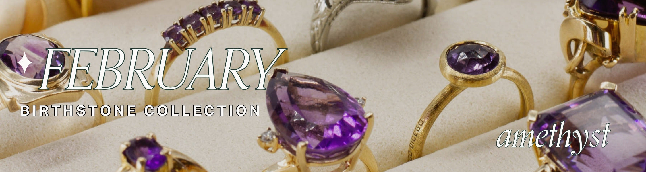 Image of purple amethyst gemstone rings in cream ring tray. title text overlay reads 'february birthstone collection' and 'amethyst'