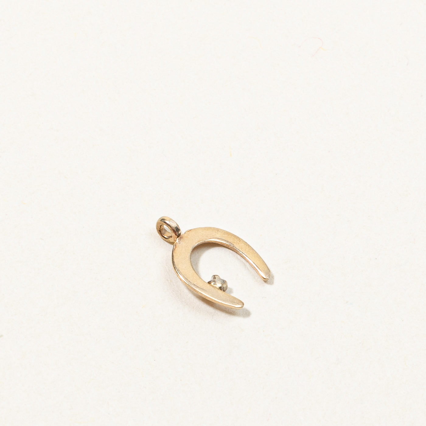 Diamond Horseshoe Pendant | 0.005ct |