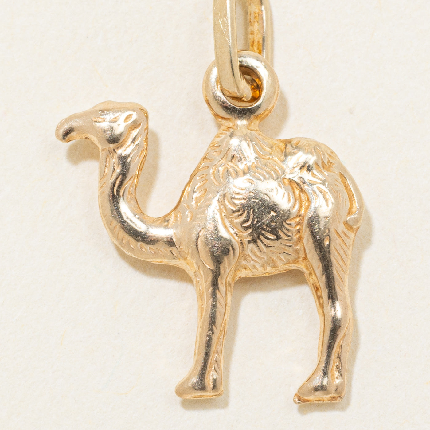 14k Yellow Gold Textured Camel Charm