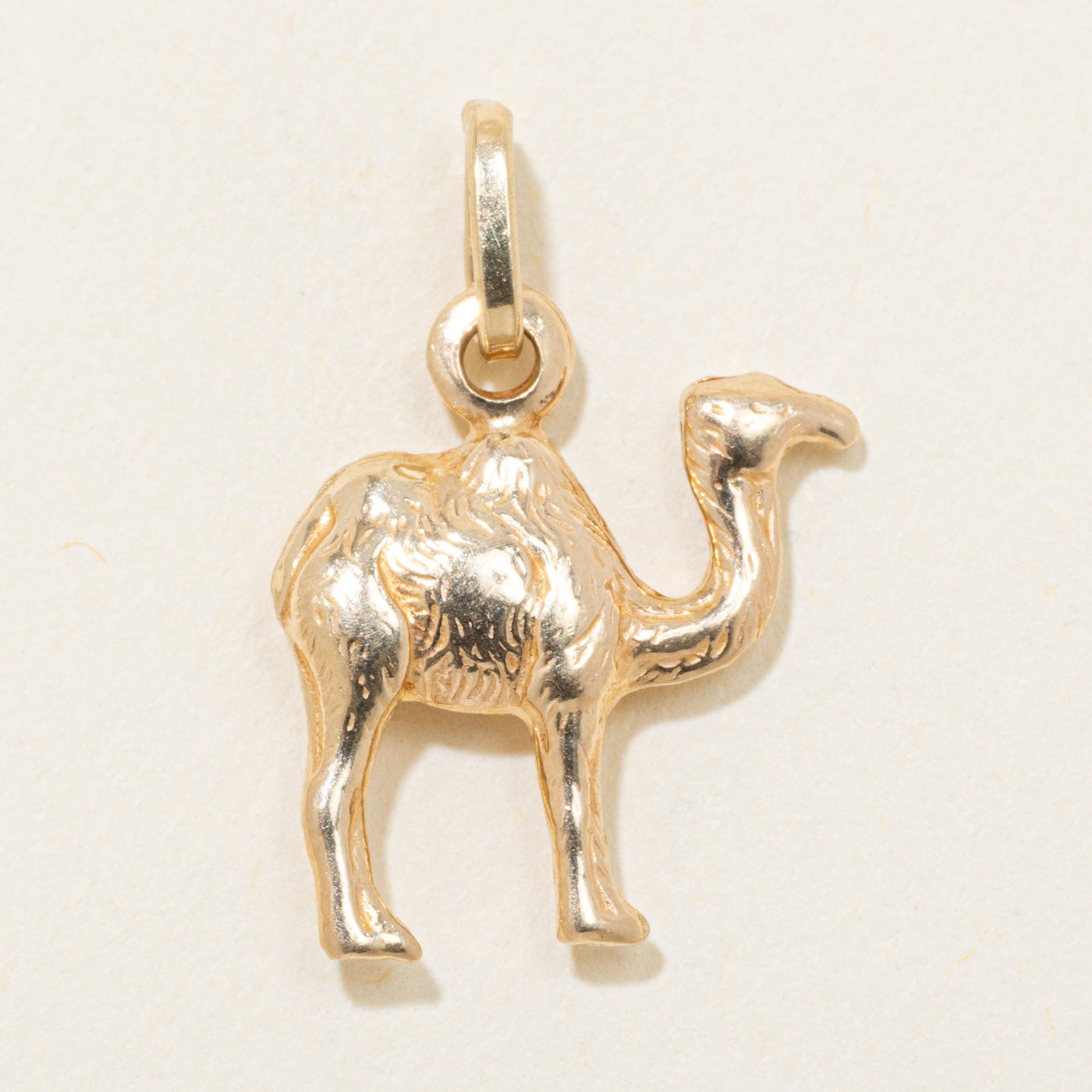 14k Yellow Gold Textured Camel Charm