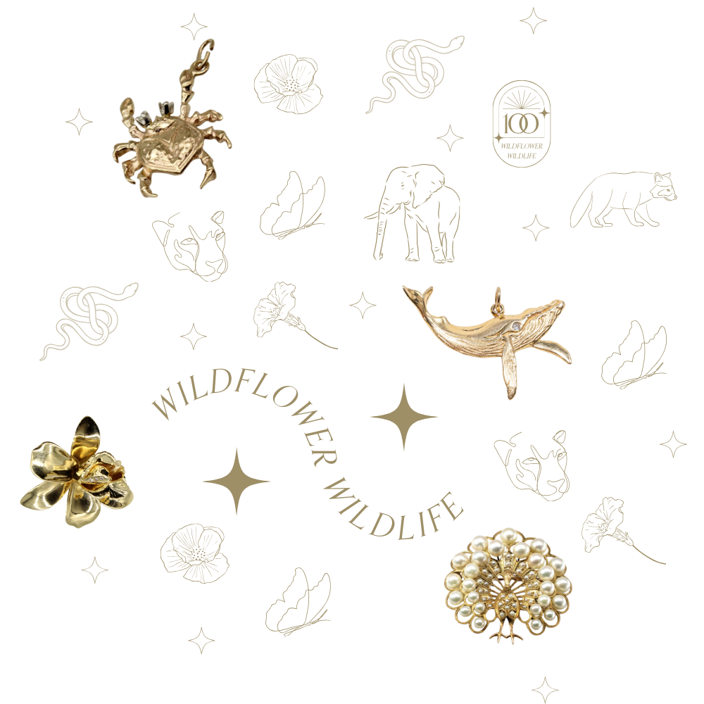 image features monline illustrations of wildlife and botanicals with text reading 'wildflower wildlife' among the line art is four gold jewellery pieces, a whale, crab, peacock with pearl accents, and lotus flower.