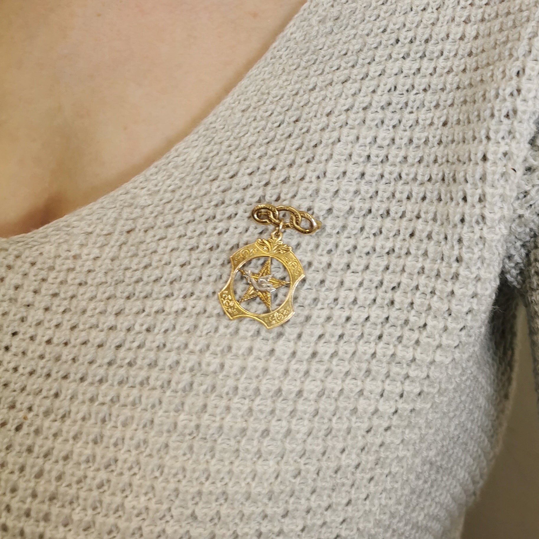 Daughters of Rebekah Odd Fellows Peace Dove Medal Pin |