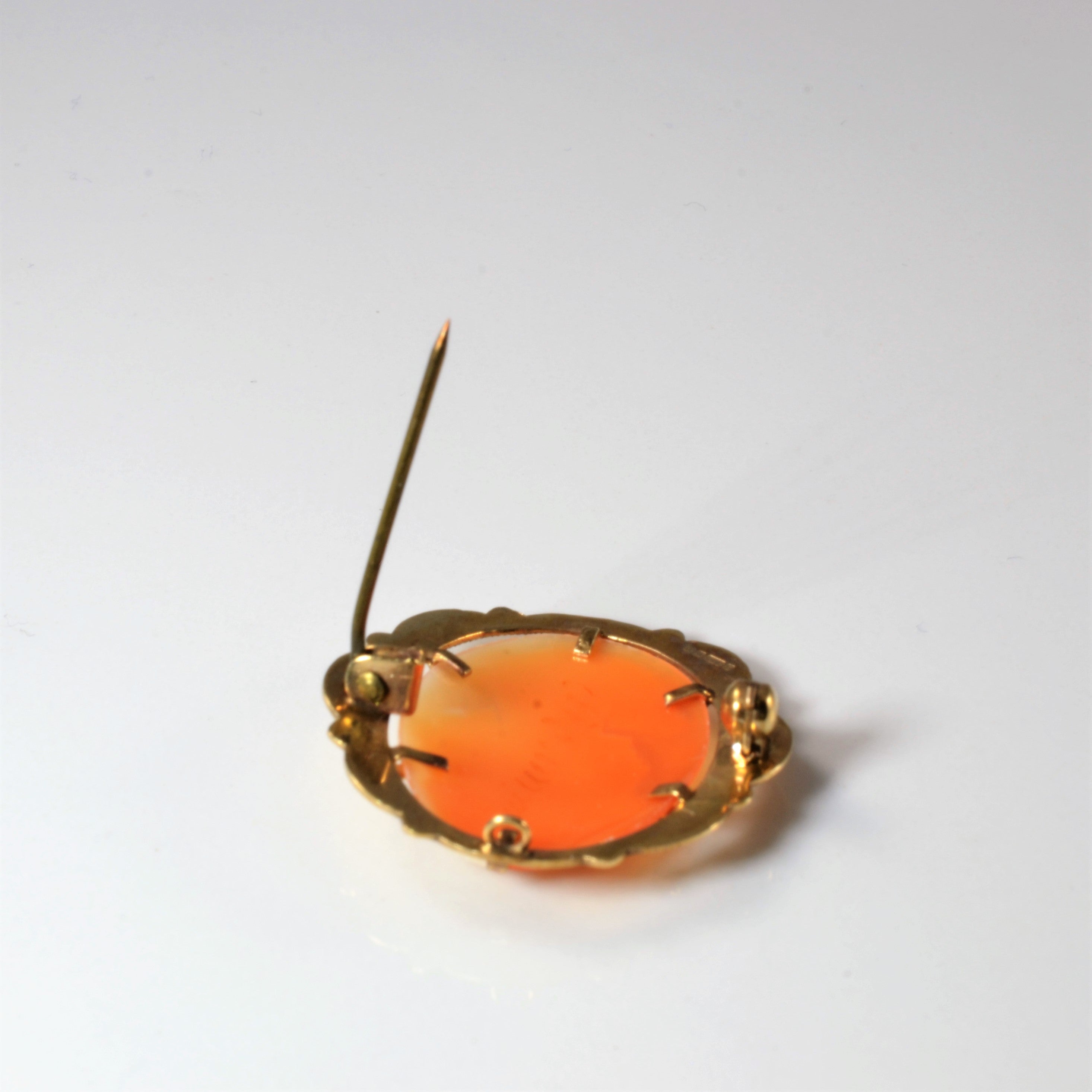 1897 Victorian Era Cameo Brooch