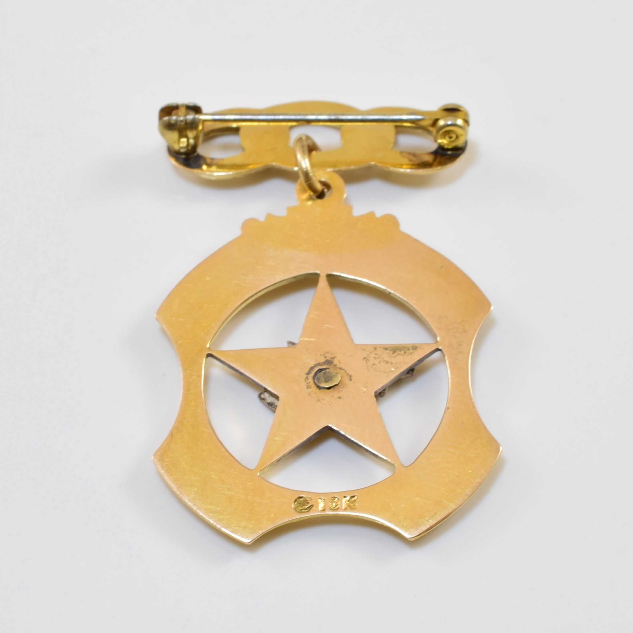 Daughters of Rebekah Odd Fellows Peace Dove Medal Pin |