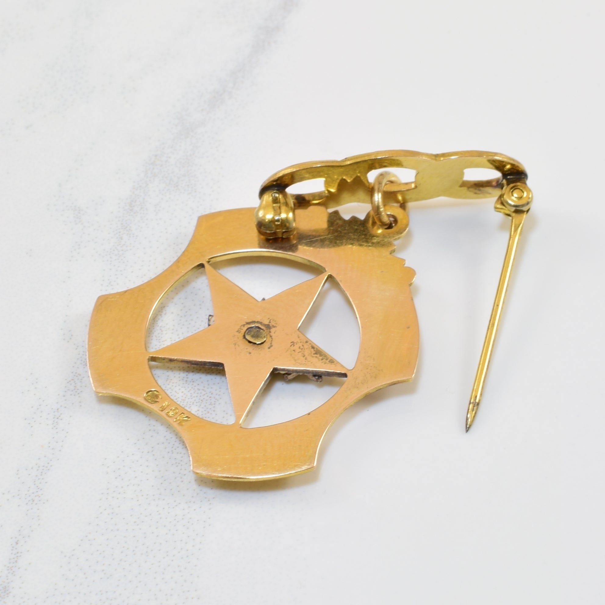 Daughters of Rebekah Odd Fellows Peace Dove Medal Pin |