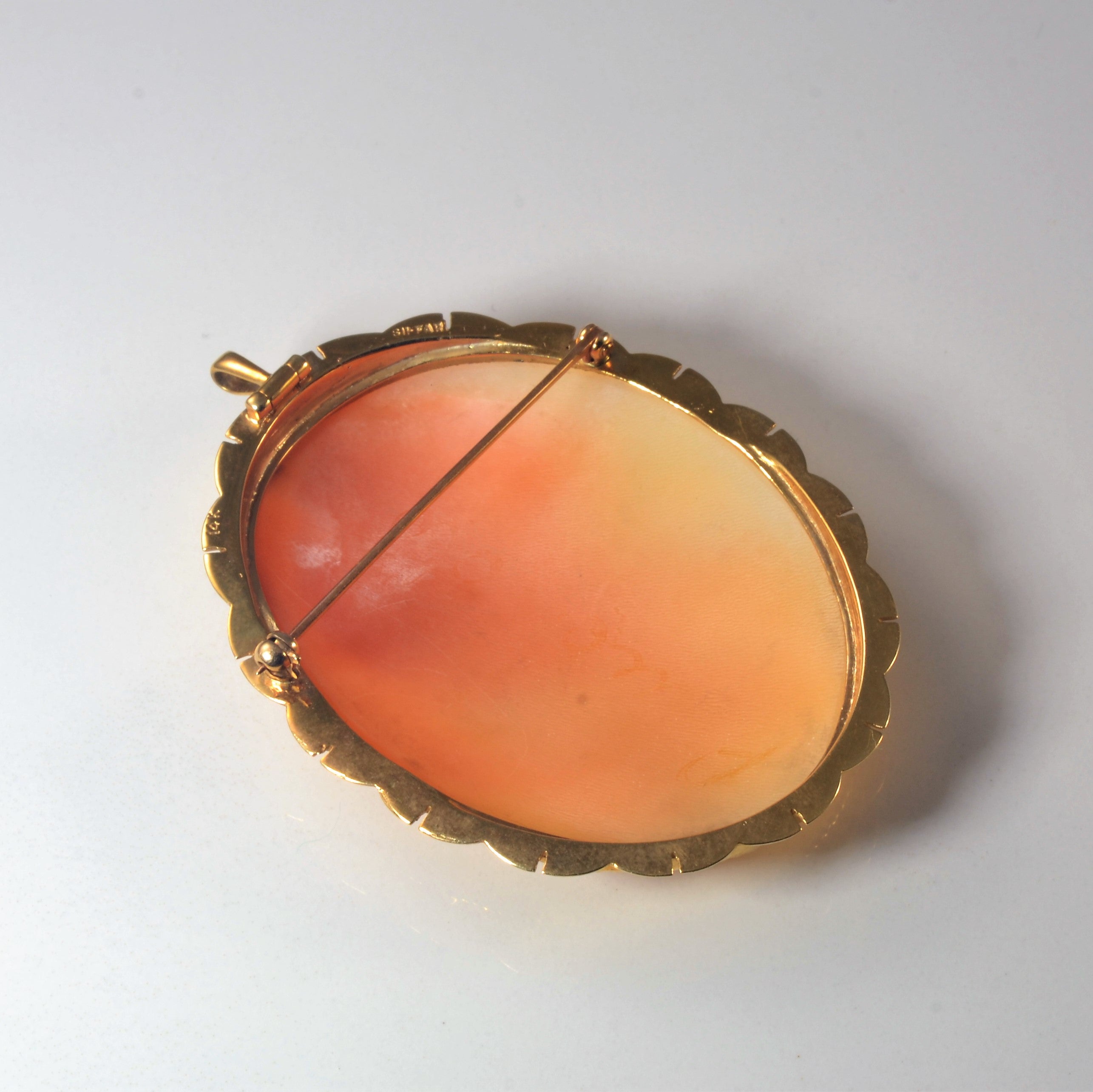 Cameo Pendant/Brooch |