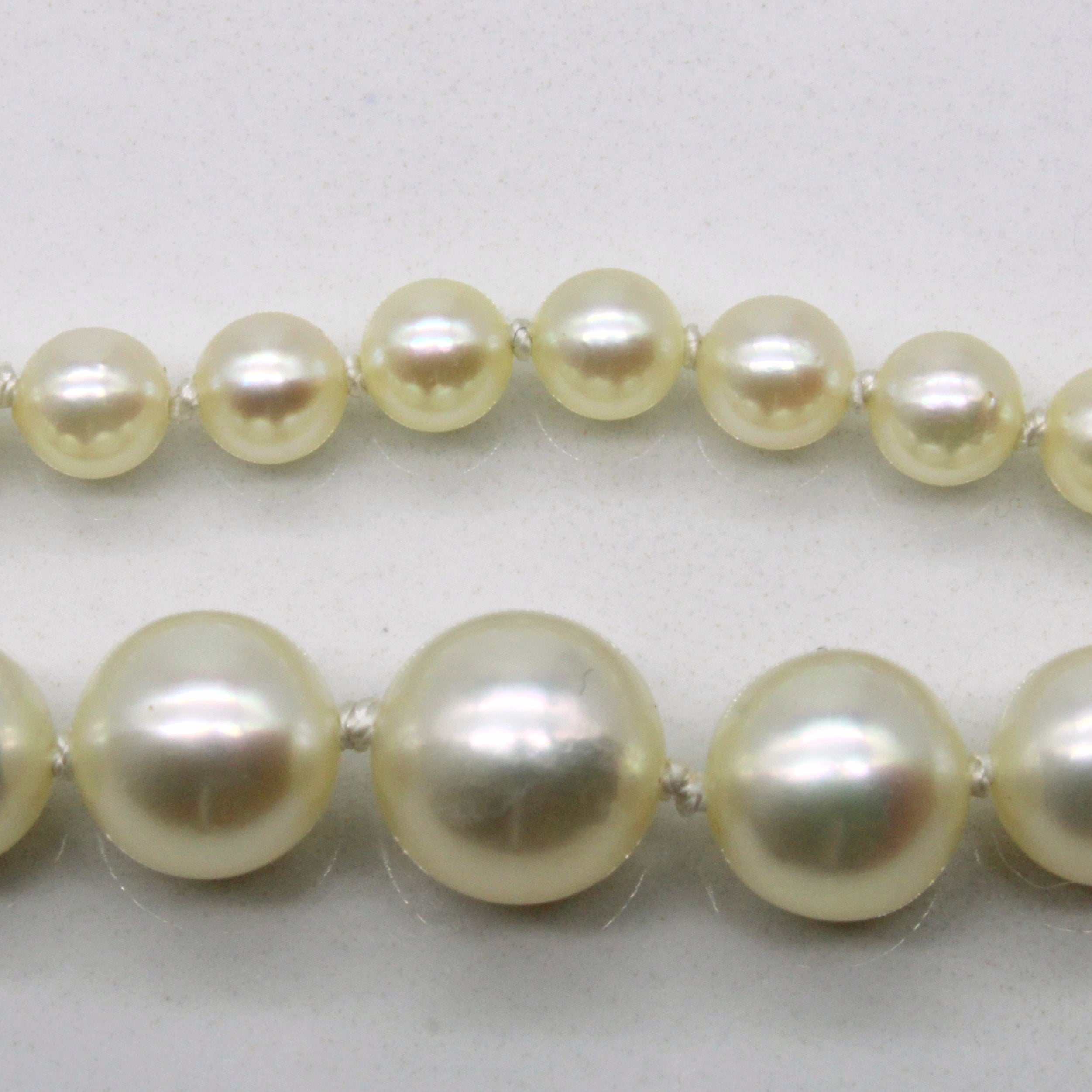 Graduated Pearl Necklace | 15" |