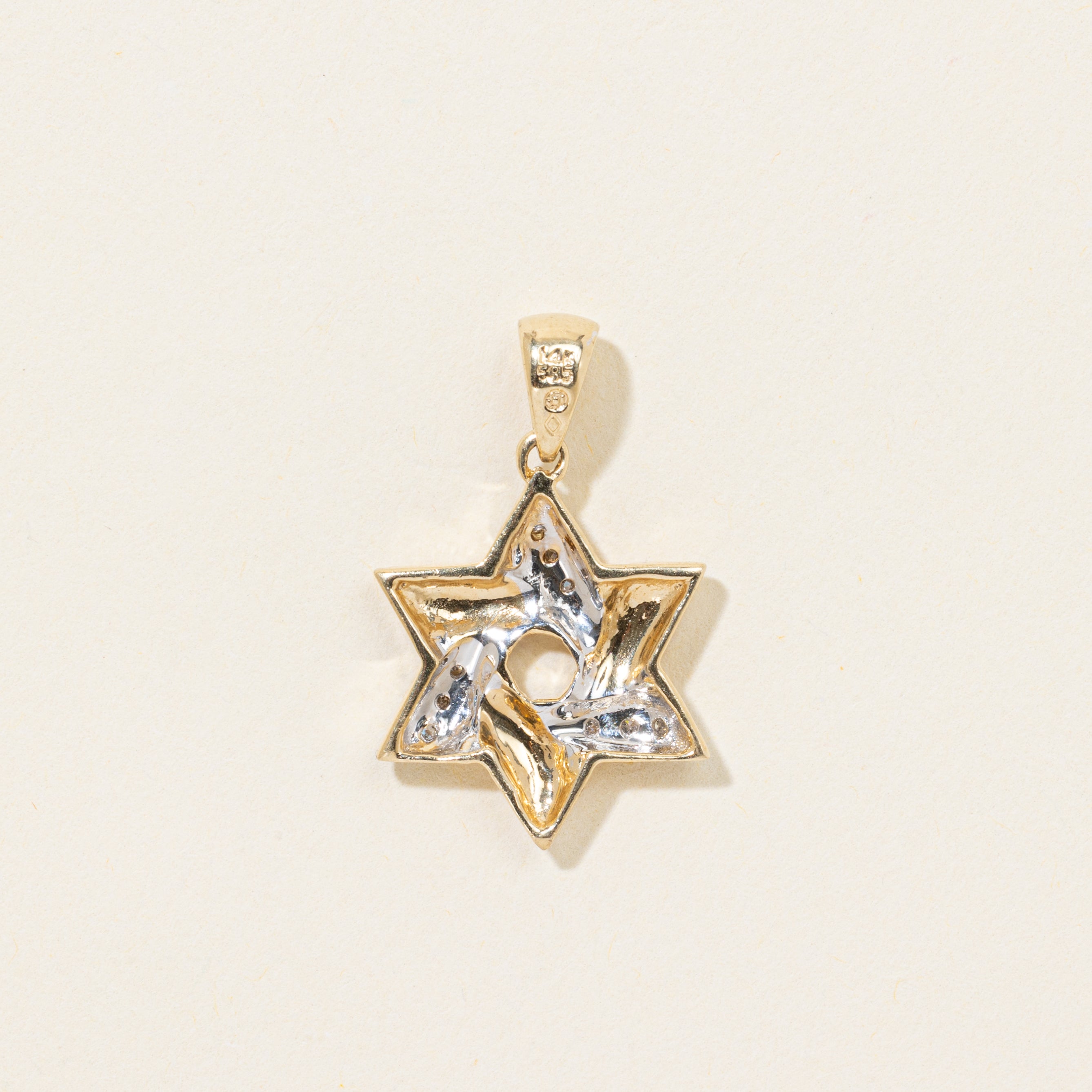 14k Two Tone Diamond Textured Star of David Charm