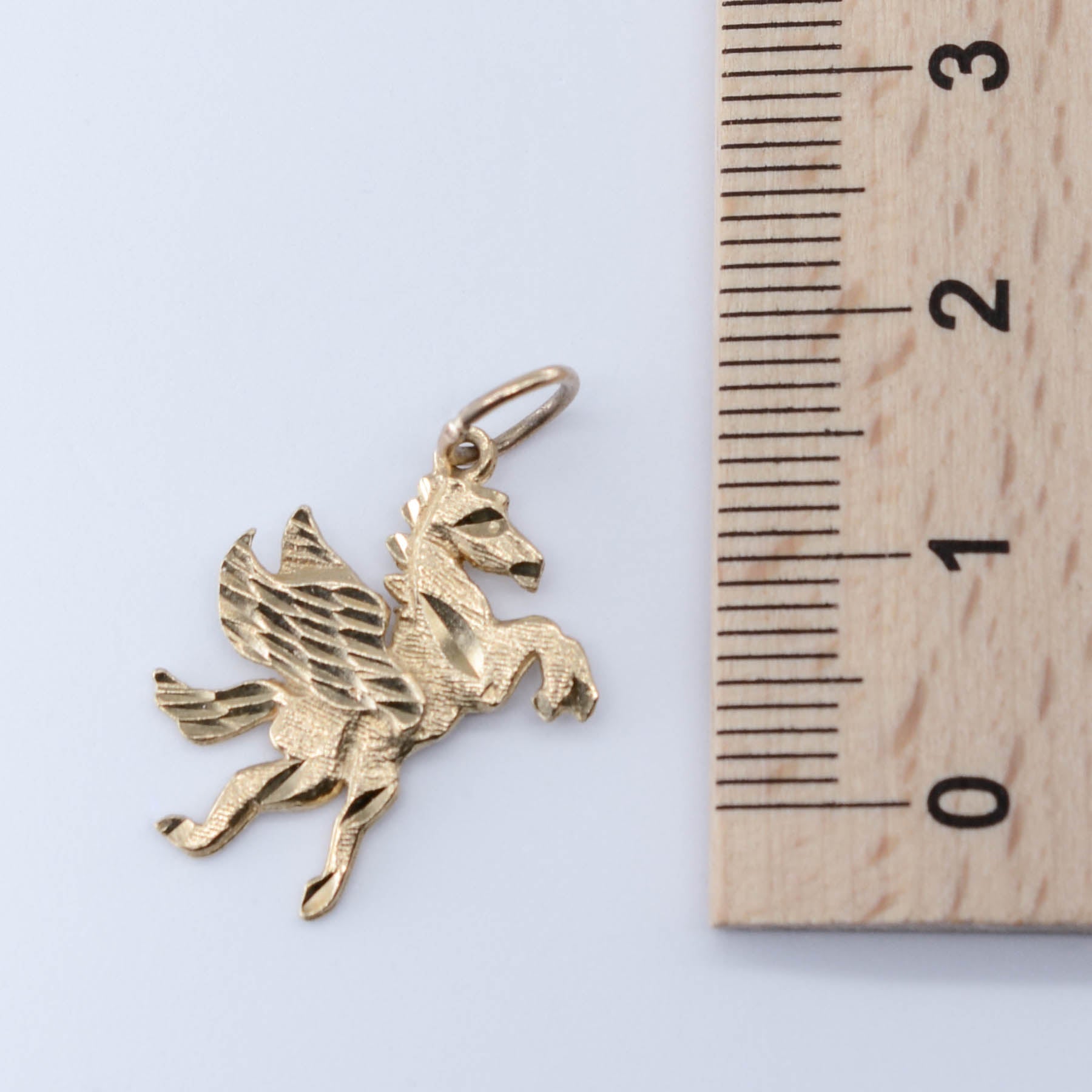 10k Pegasus Charm - 100 Ways