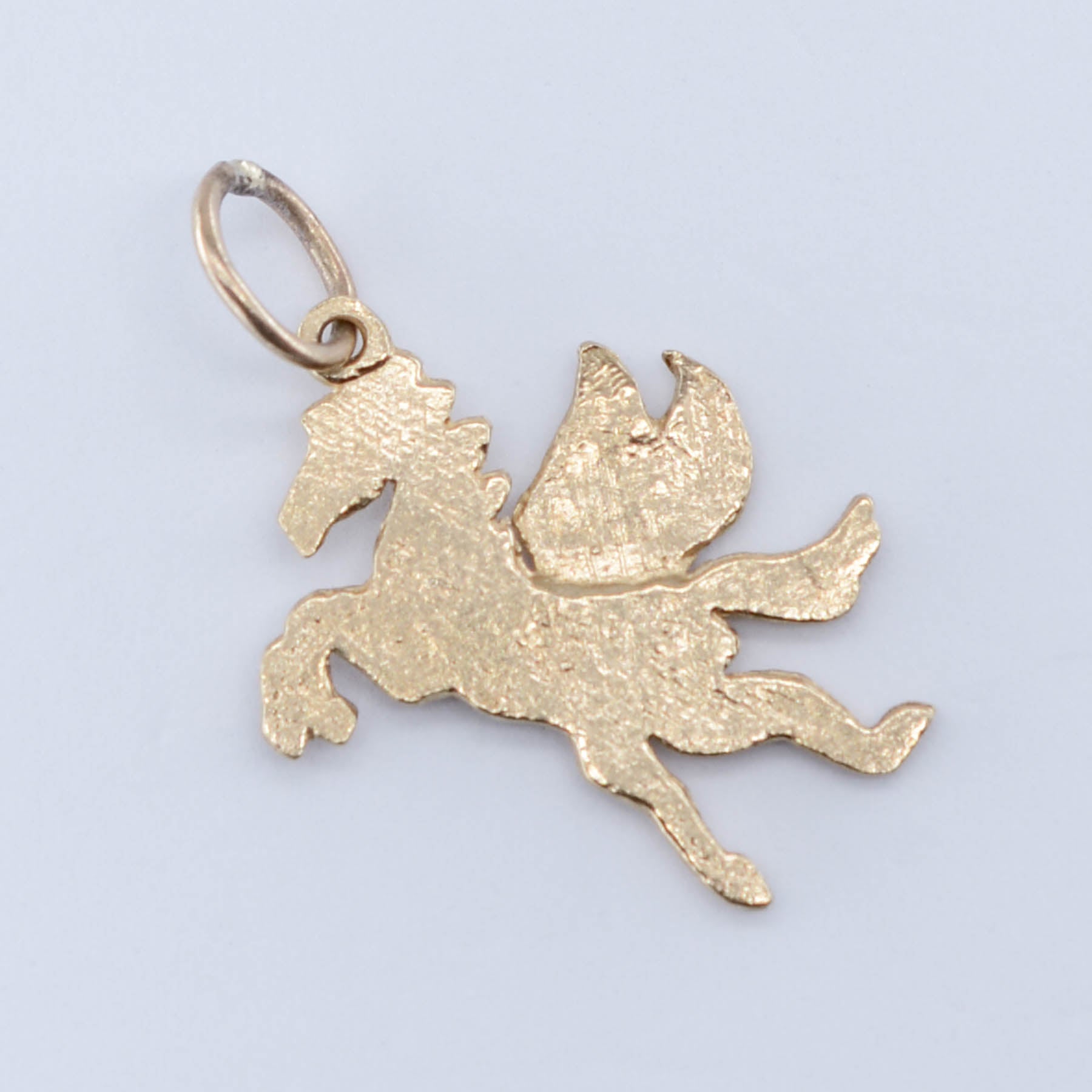 10k Pegasus Charm - 100 Ways