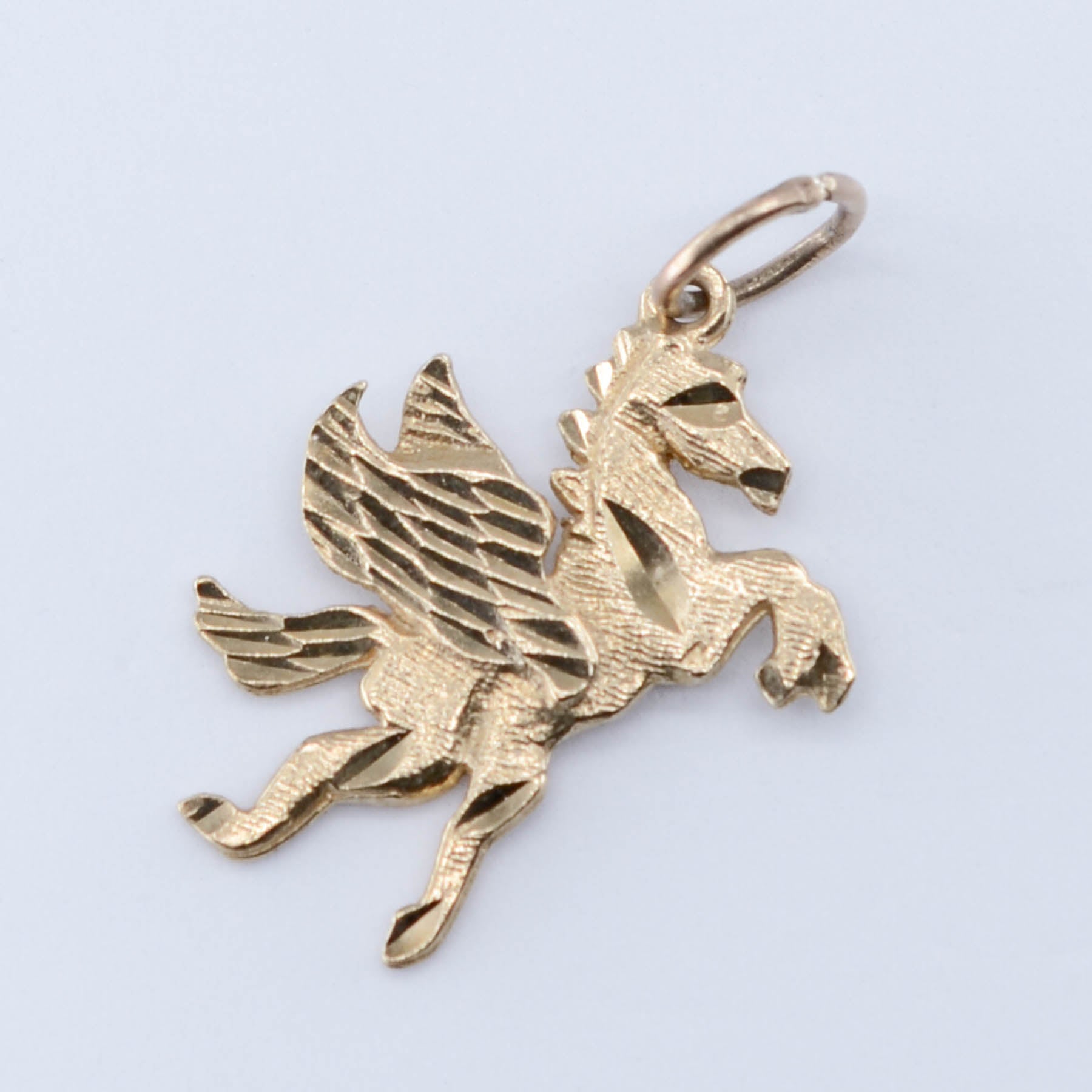 10k Pegasus Charm - 100 Ways