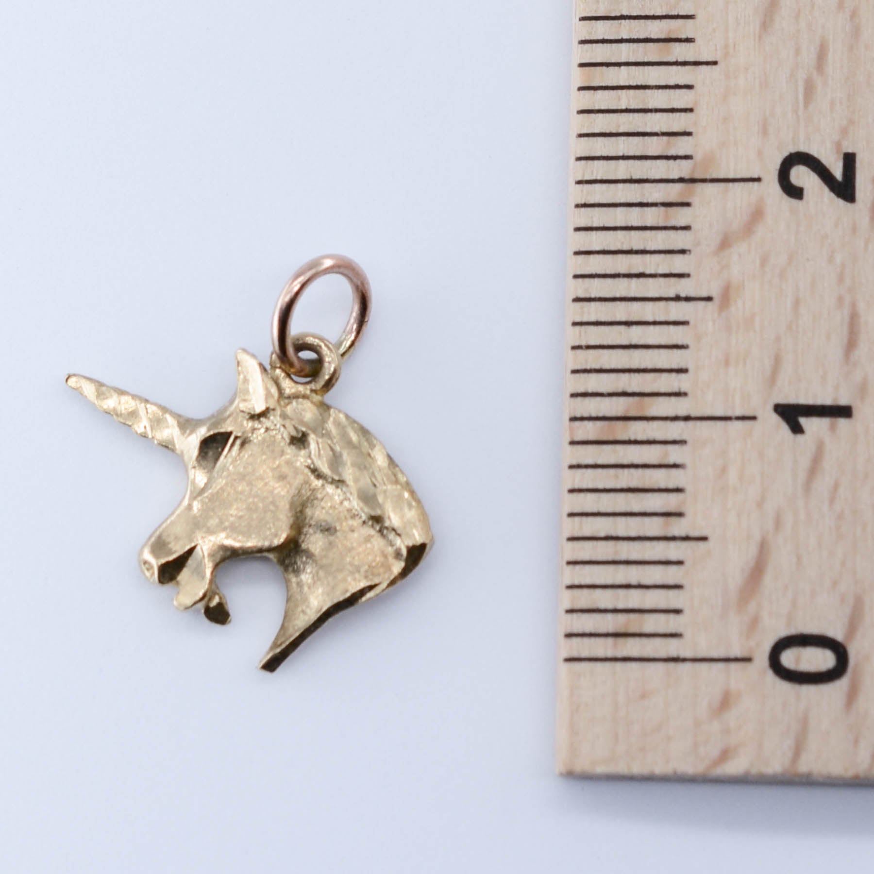 10k Unicorn Charm - 100 Ways