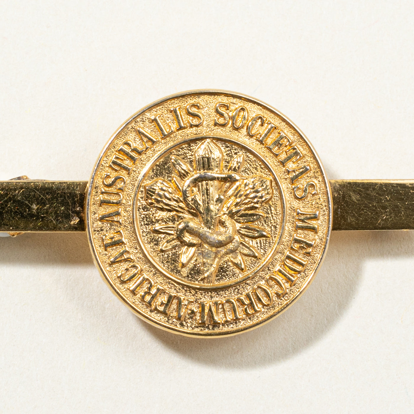 9k Yellow Gold Medicorum Brooch
