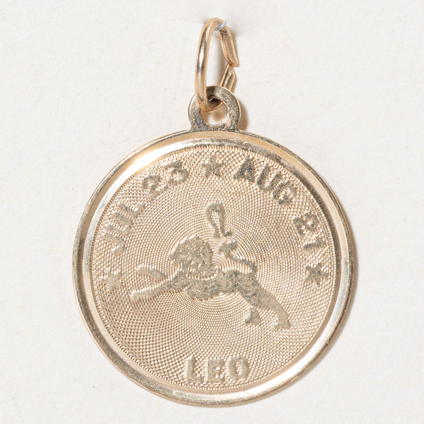 14k Yellow Gold Leo Charm