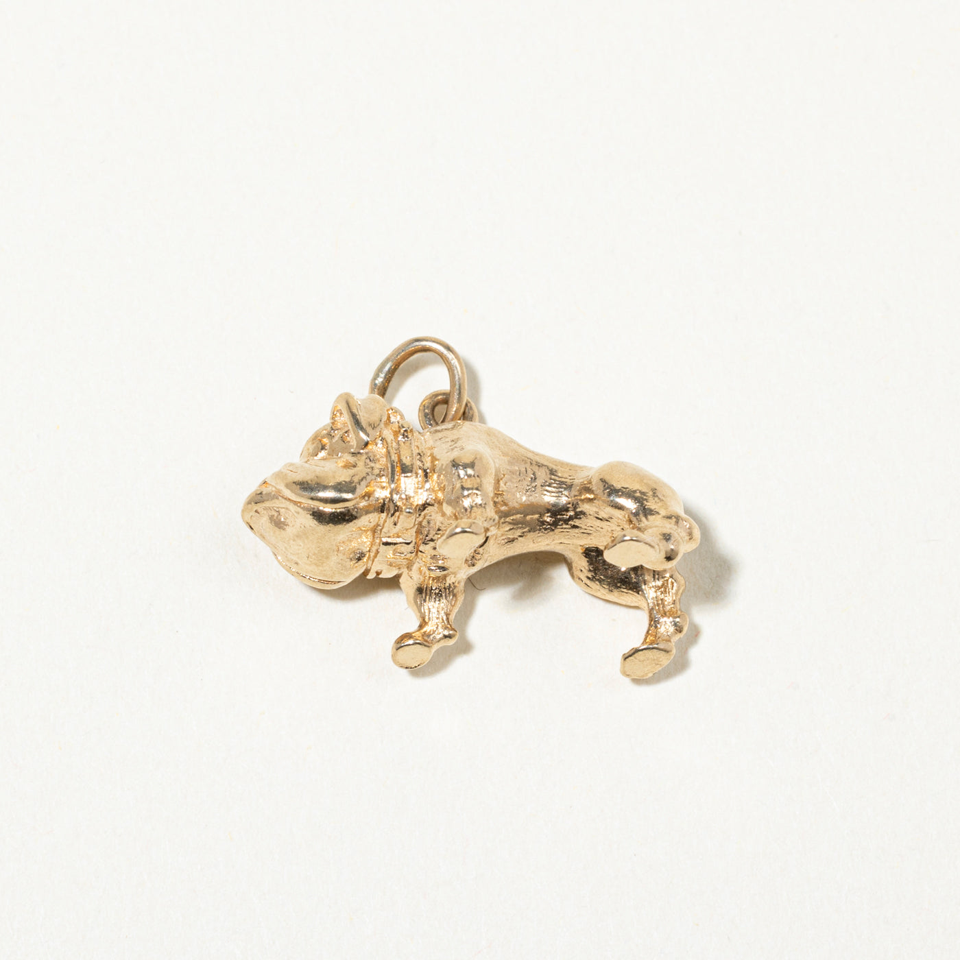 14k Yellow Gold Bulldog Charm