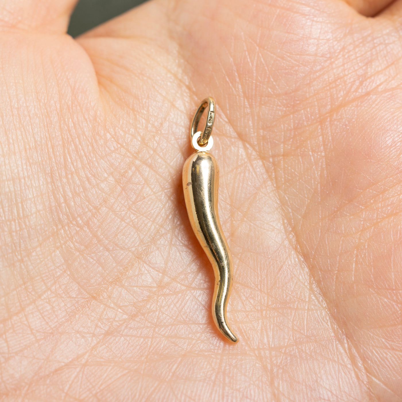 10k Yellow Gold Cornicello Charm