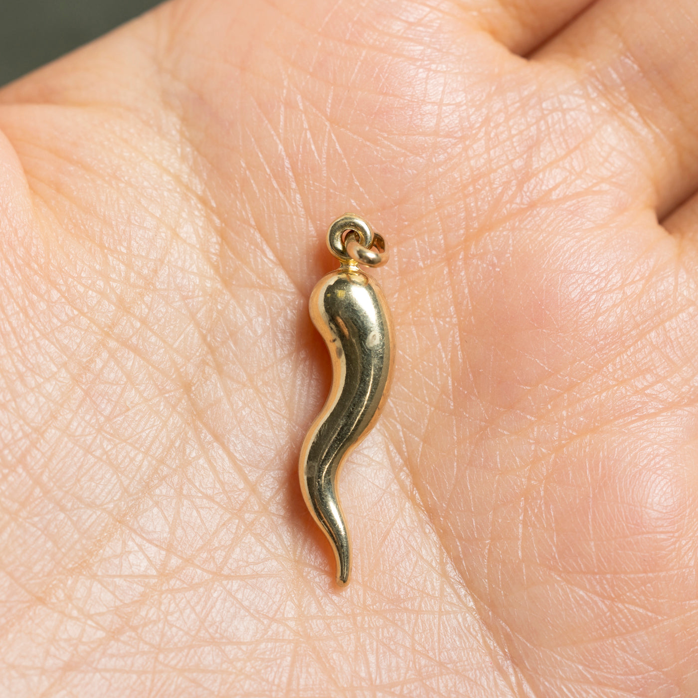 14k Yellow Gold Italian Cornicello Charm