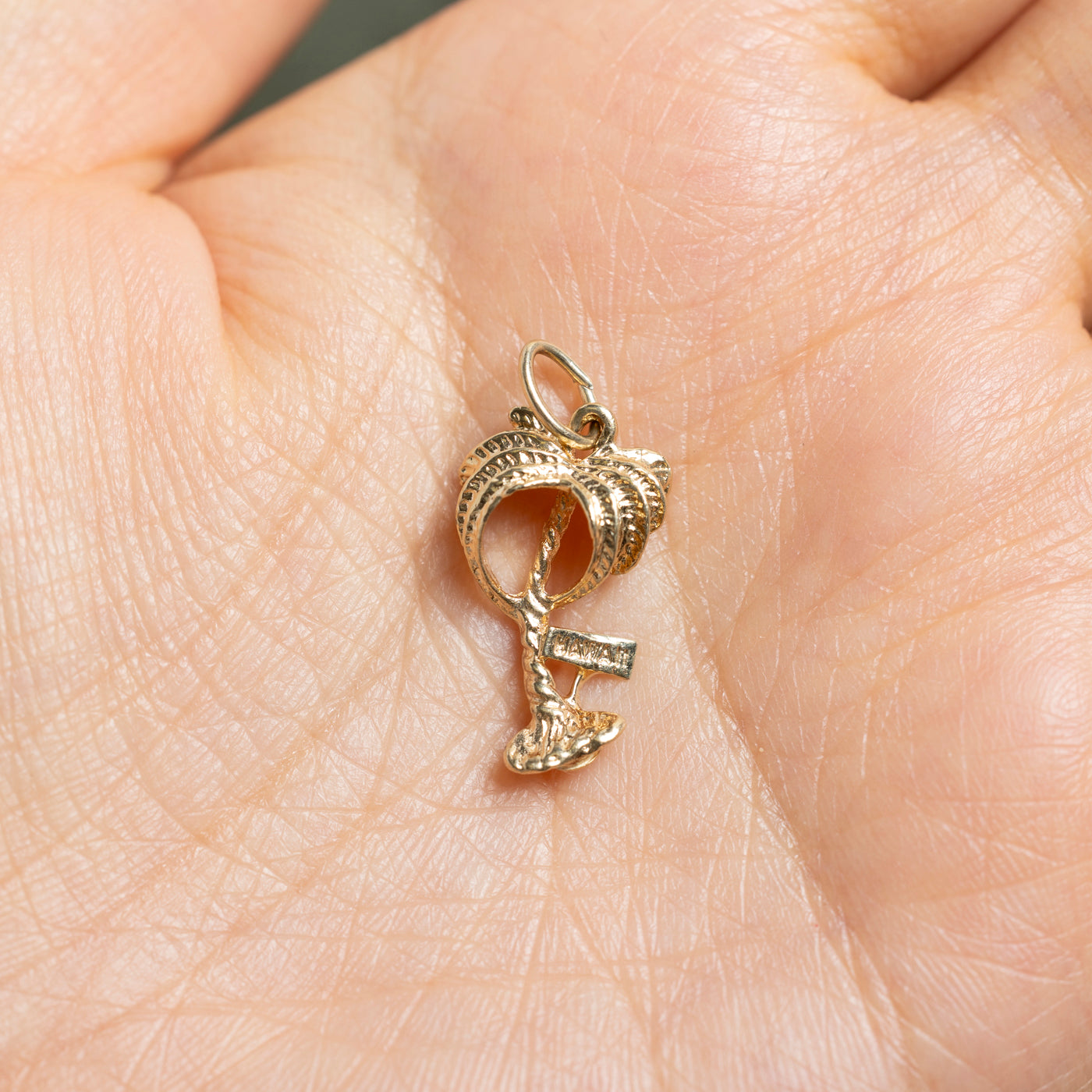 14k Yellow Gold Palm Tree "Hawaii" Charm