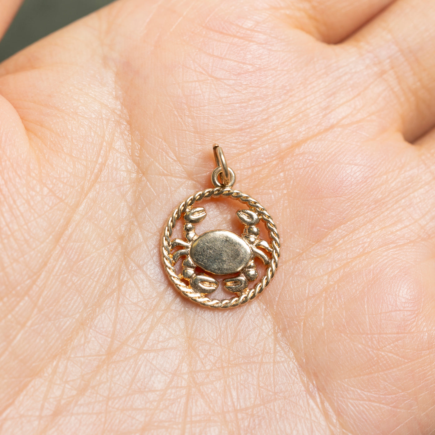 10k Yellow Gold Cancer Zodiac Charm