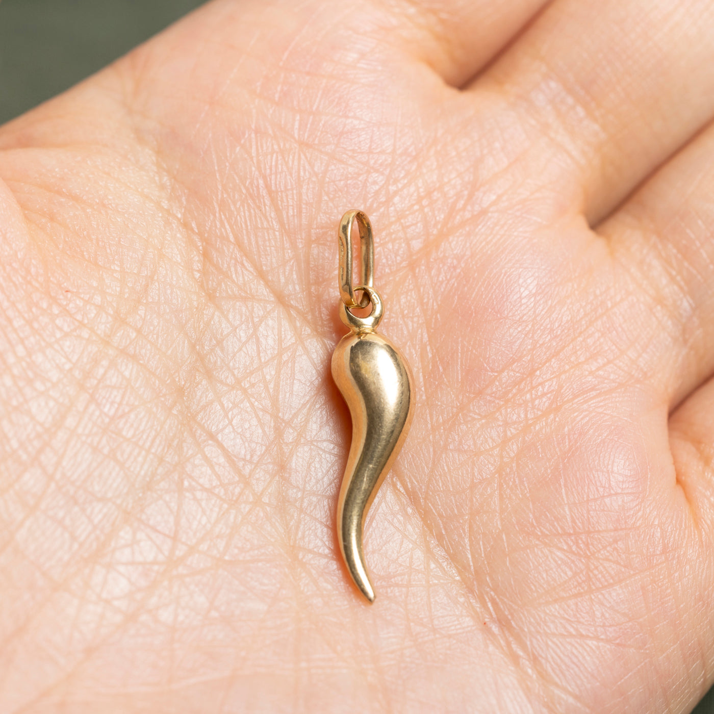 18k Yellow Gold Cornicello Charm