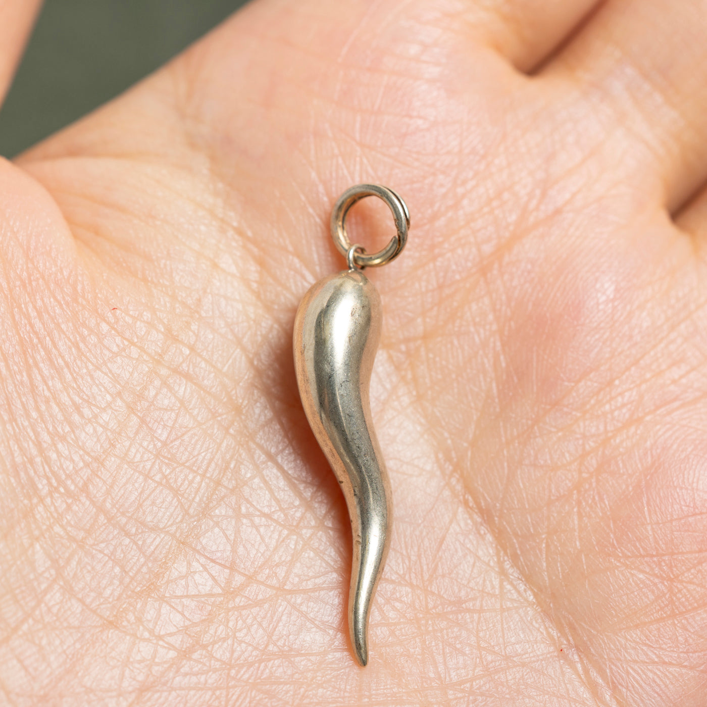 10k White Gold Cornicello Charm