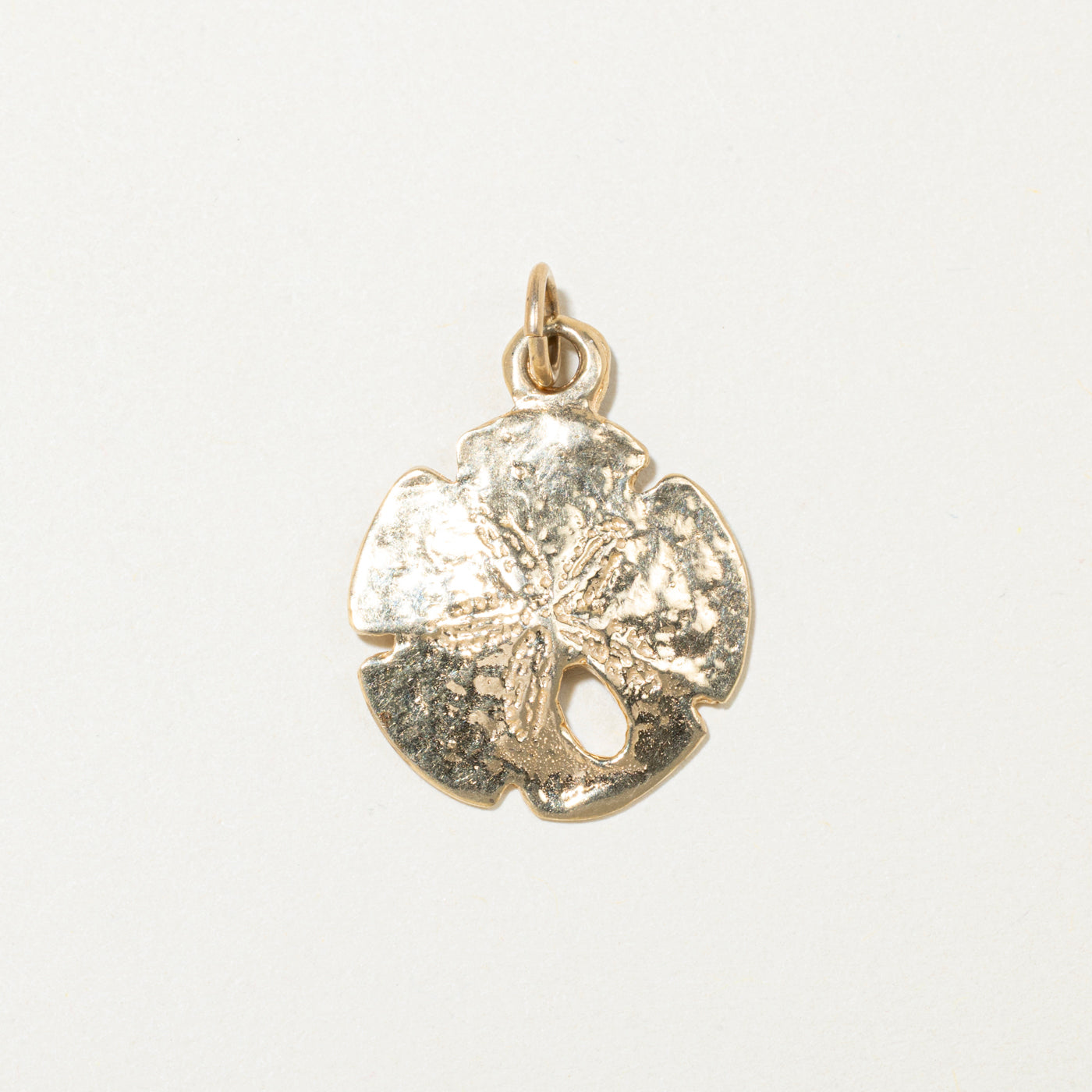 14k Yellow Gold Sand Dollar Charm