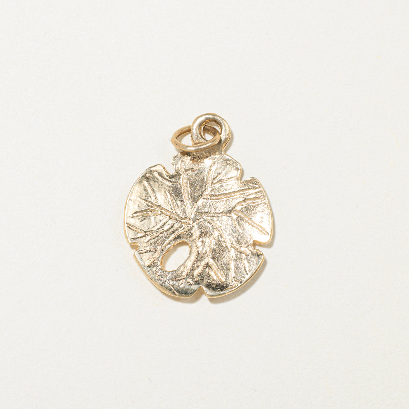 14k Yellow Gold Sand Dollar Charm
